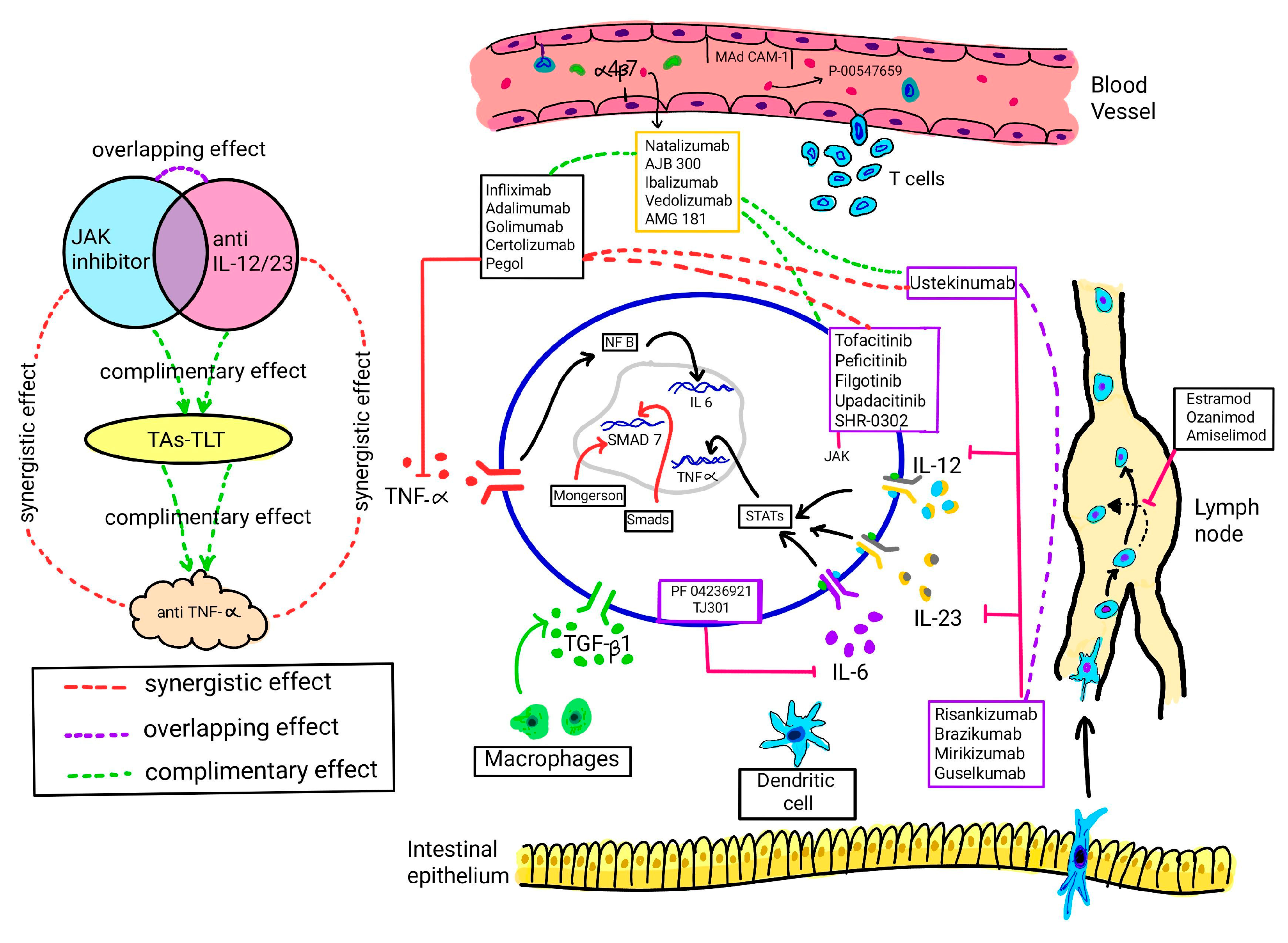 Futurepharmacol 04 00017 g002
