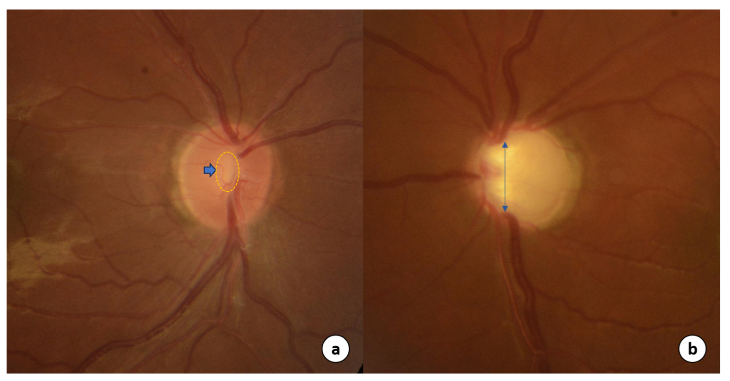 Futurepharmacol 04 00022 g001