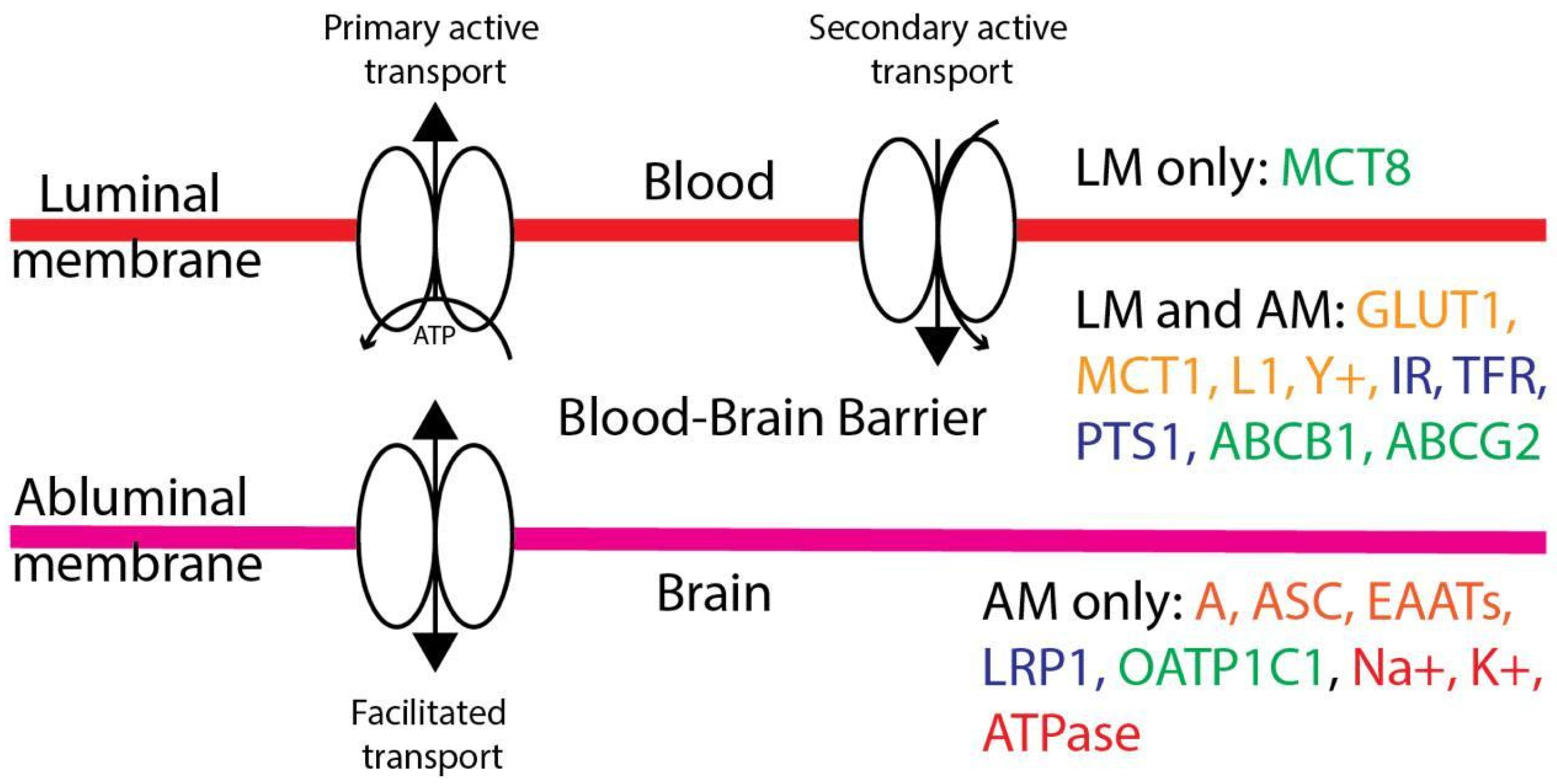 Futurepharmacol 04 00032 g001