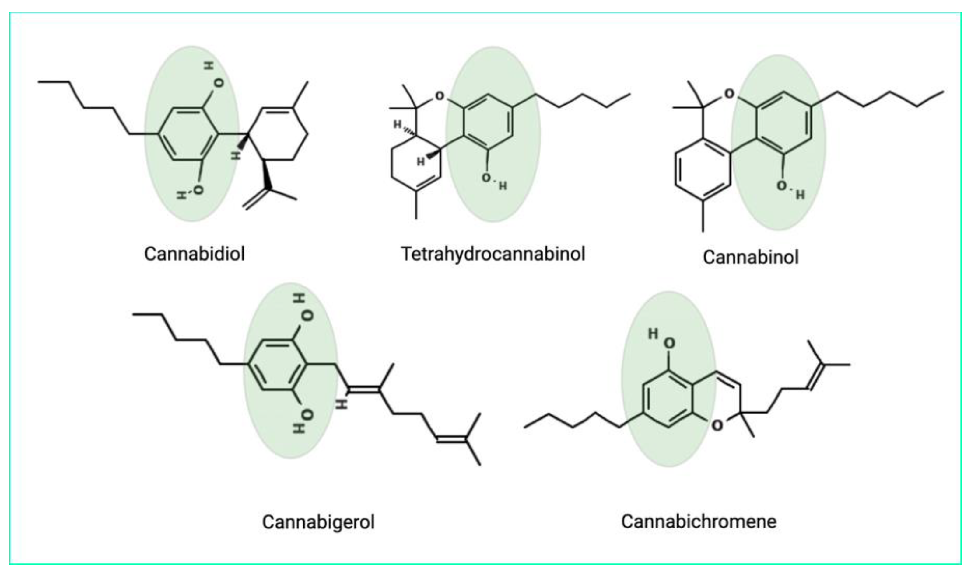 Futurepharmacol 04 00033 g002
