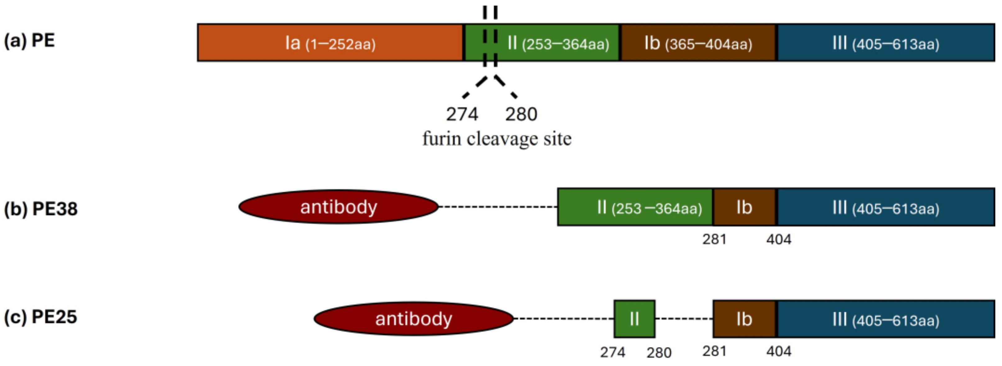 Futurepharmacol 04 00047 g003