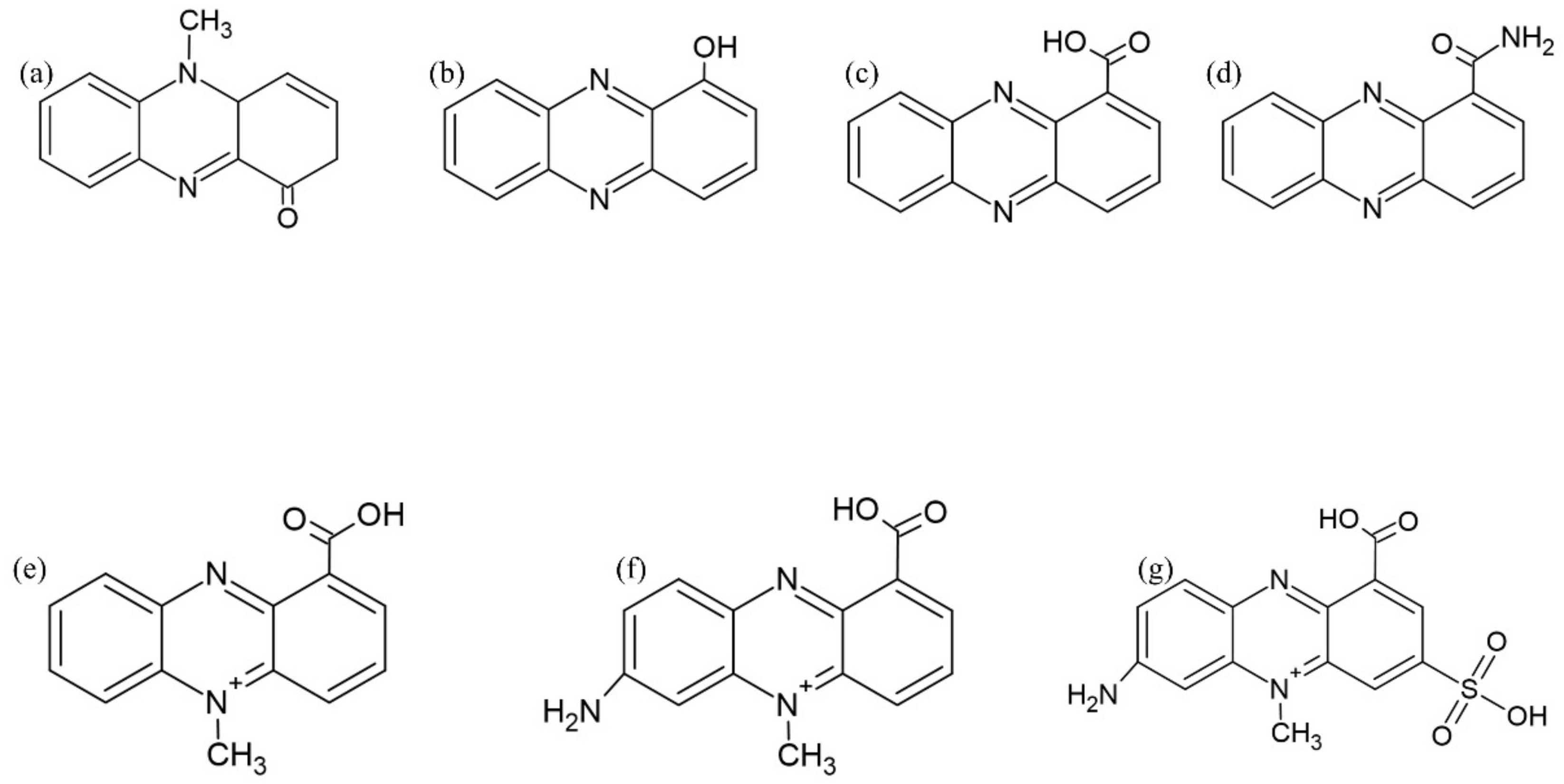 Futurepharmacol 04 00047 g004
