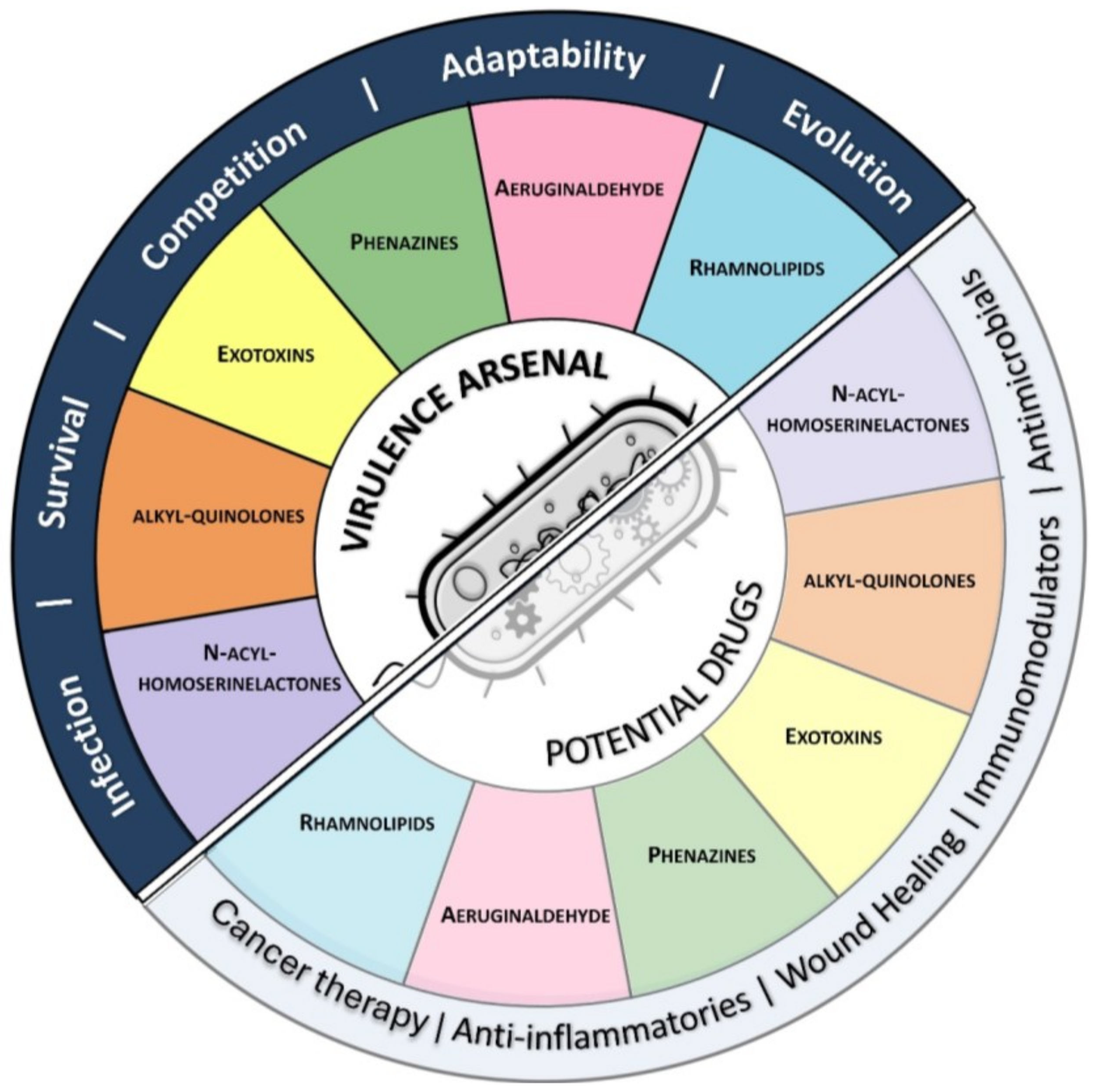 Futurepharmacol 04 00047 g006