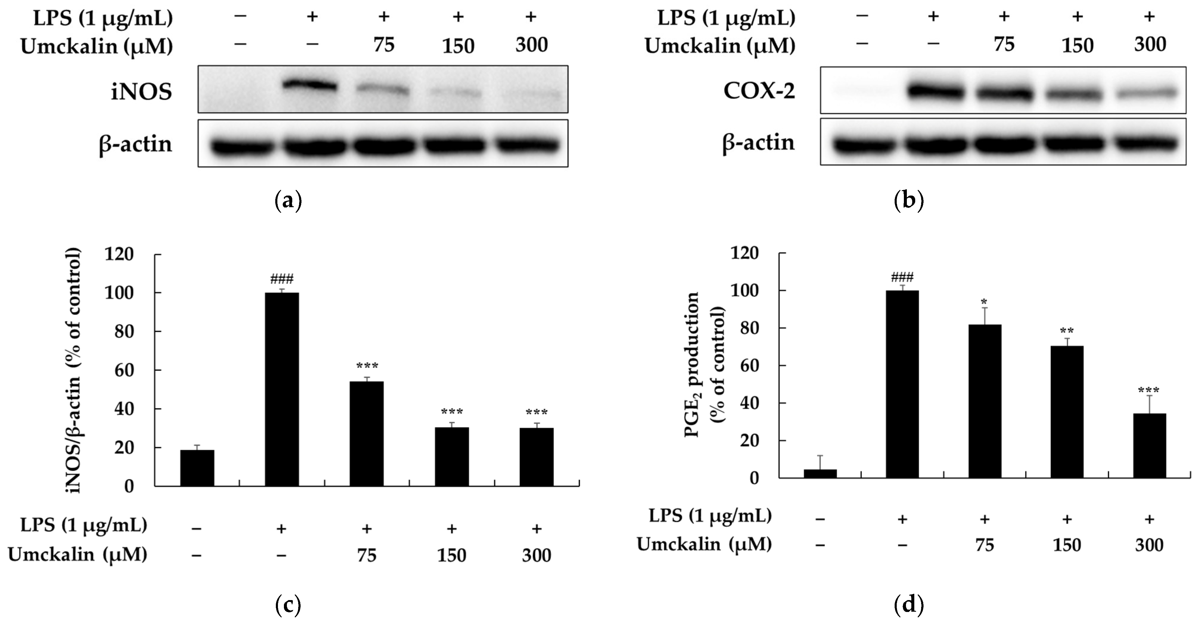 Futurepharmacol 05 00006 g004