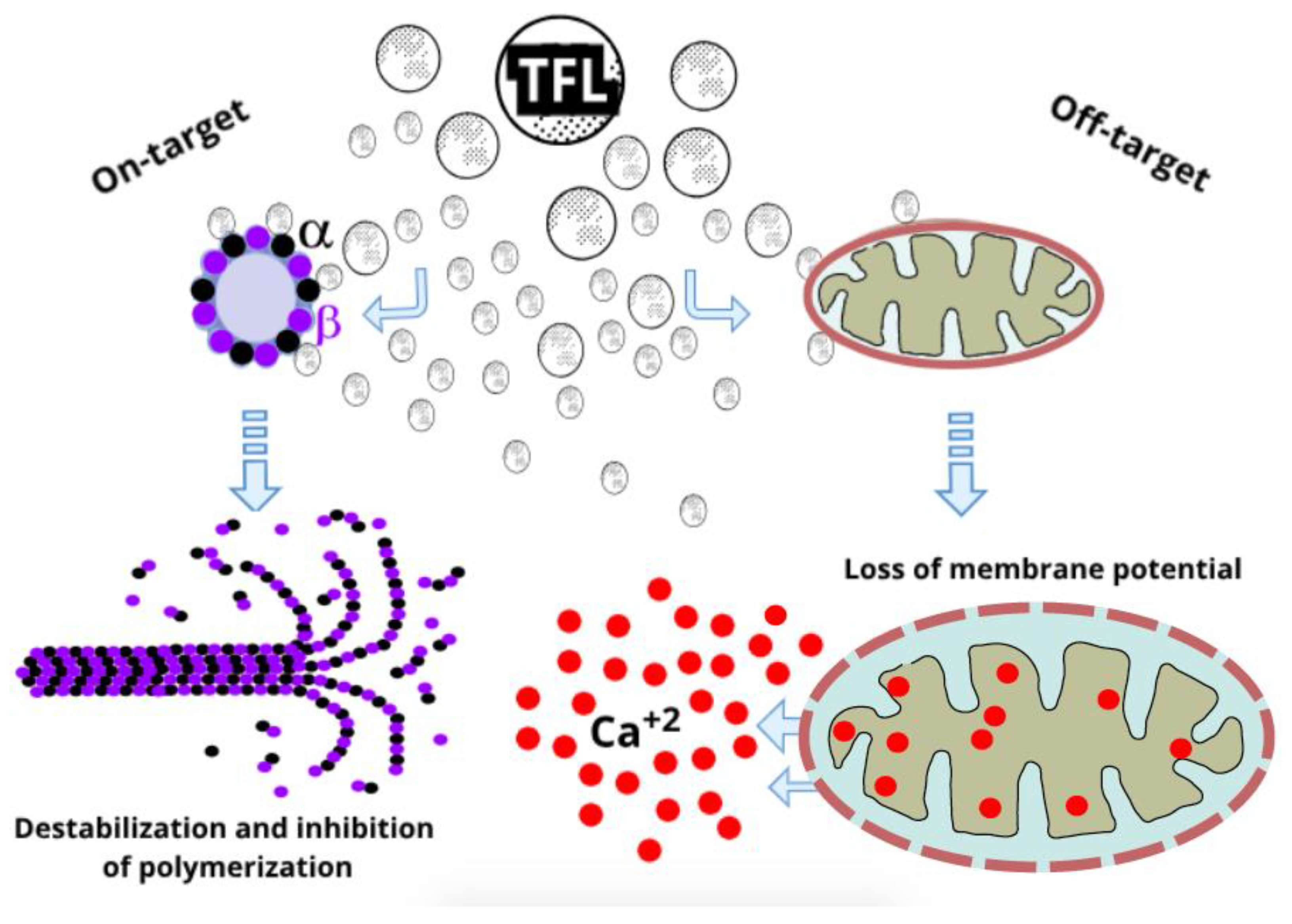Futurepharmacol 05 00014 g004
