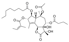 Futurepharmacol 05 00021 i007