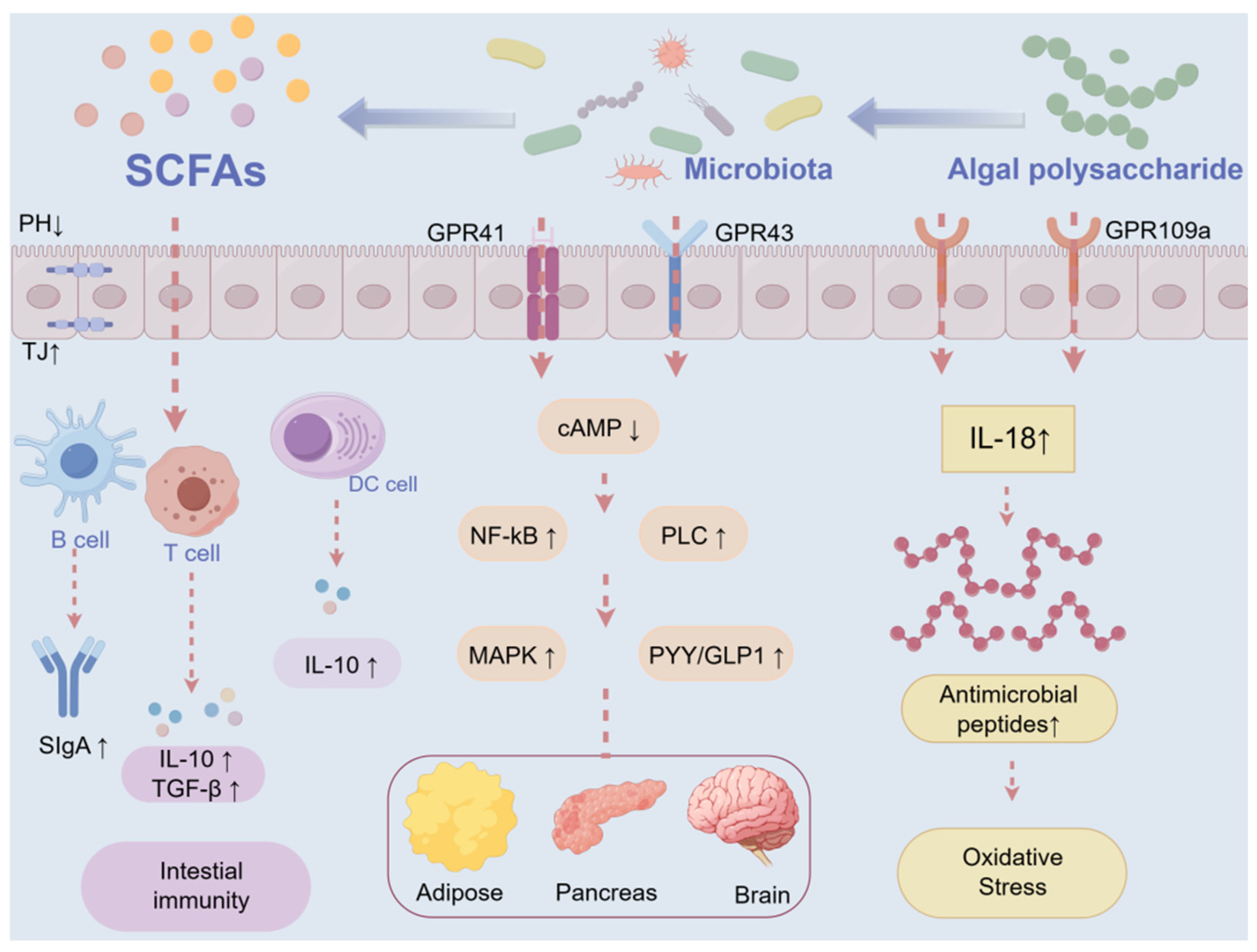 Futurepharmacol 05 00029 g003
