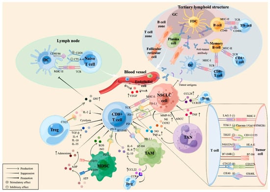 Futurepharmacol 05 00034 g001