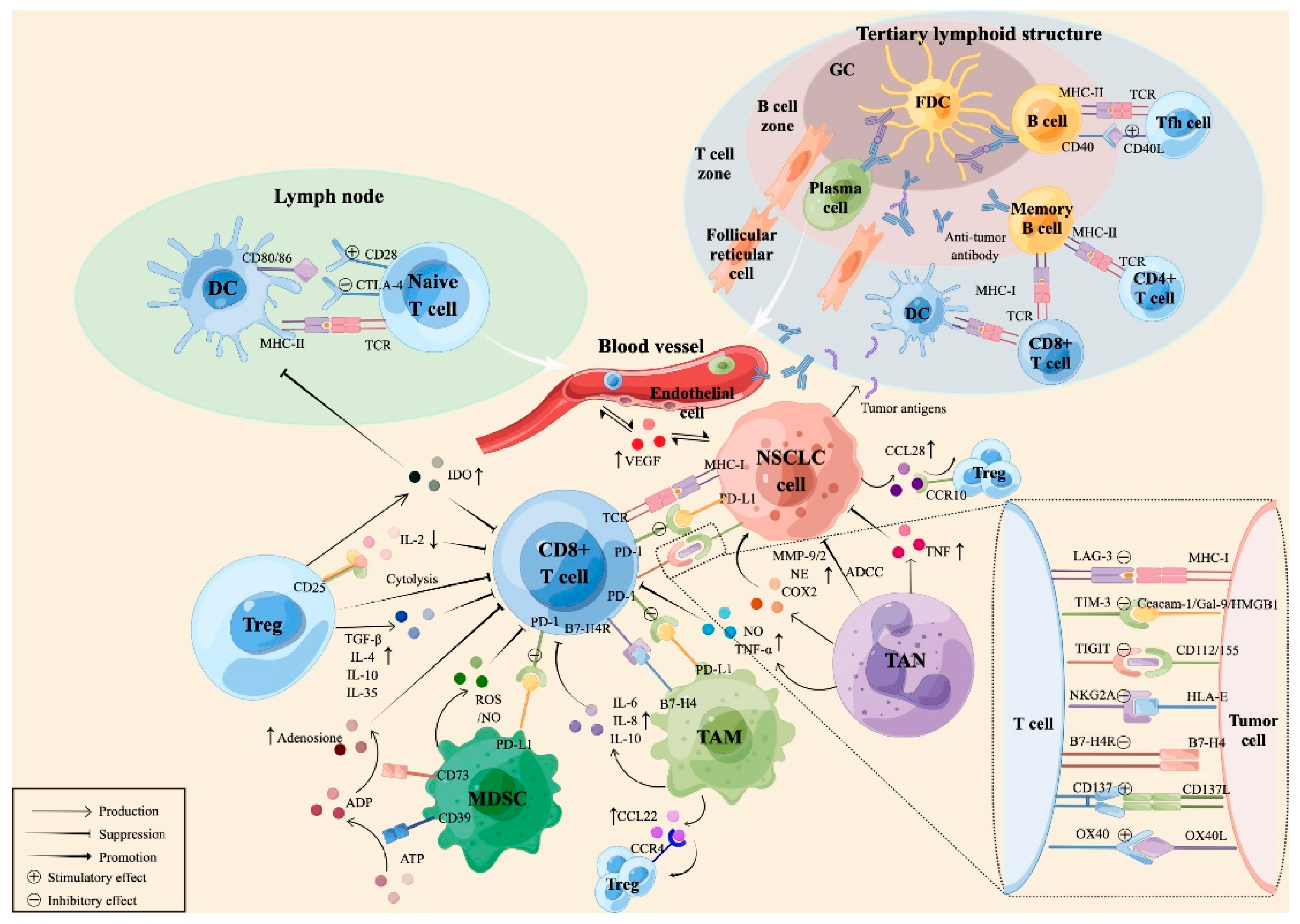 Futurepharmacol 05 00034 g001