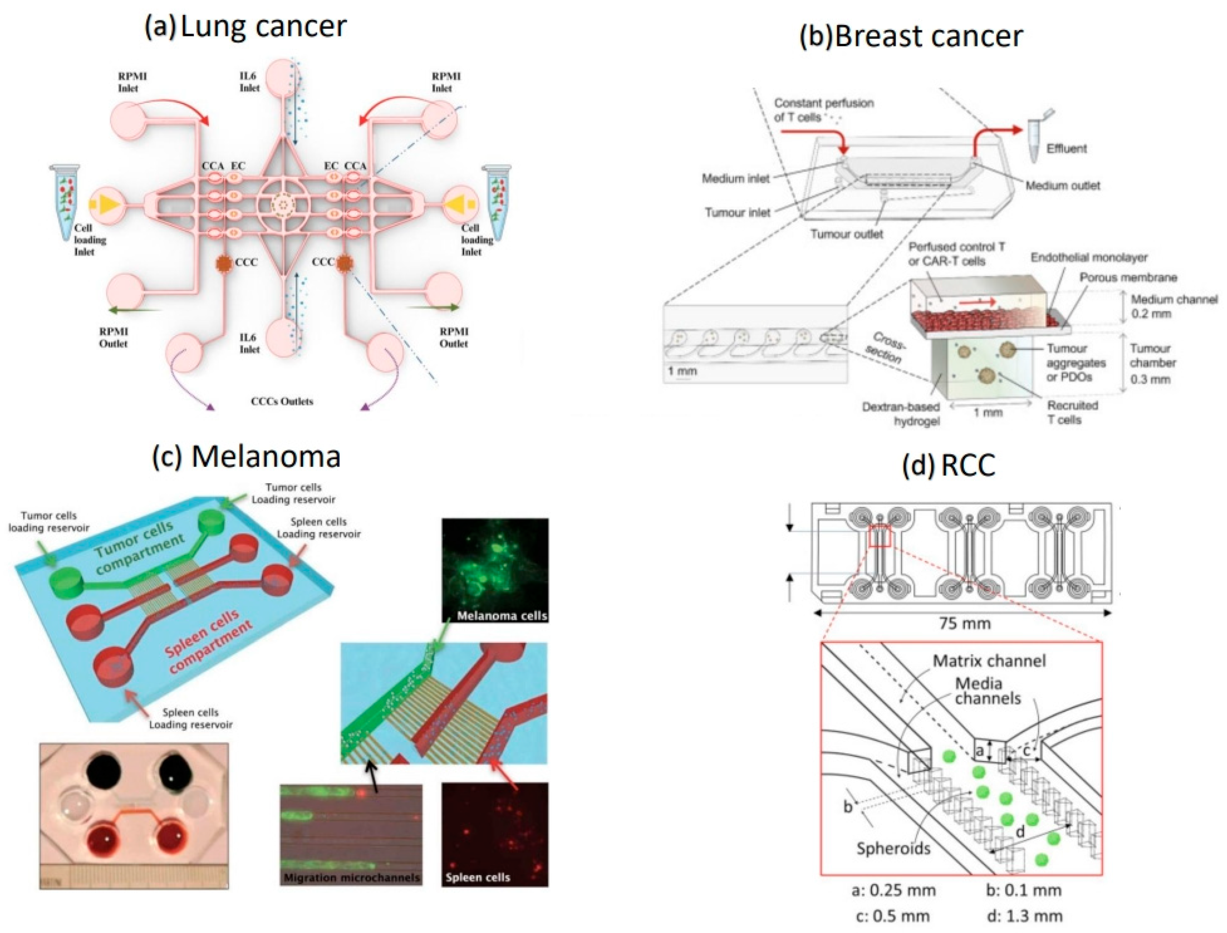 Futurepharmacol 05 00036 g002