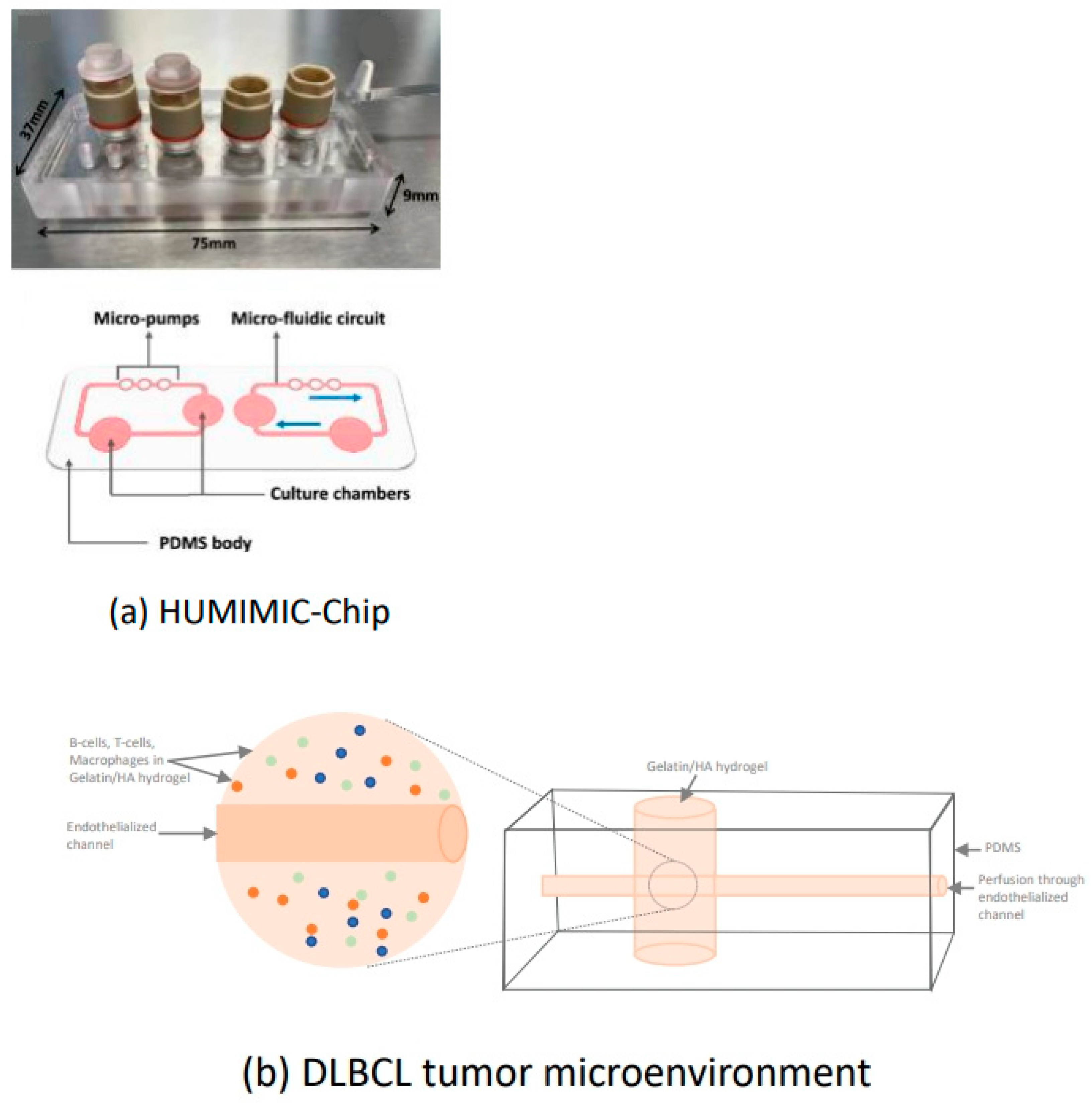 Futurepharmacol 05 00036 g003