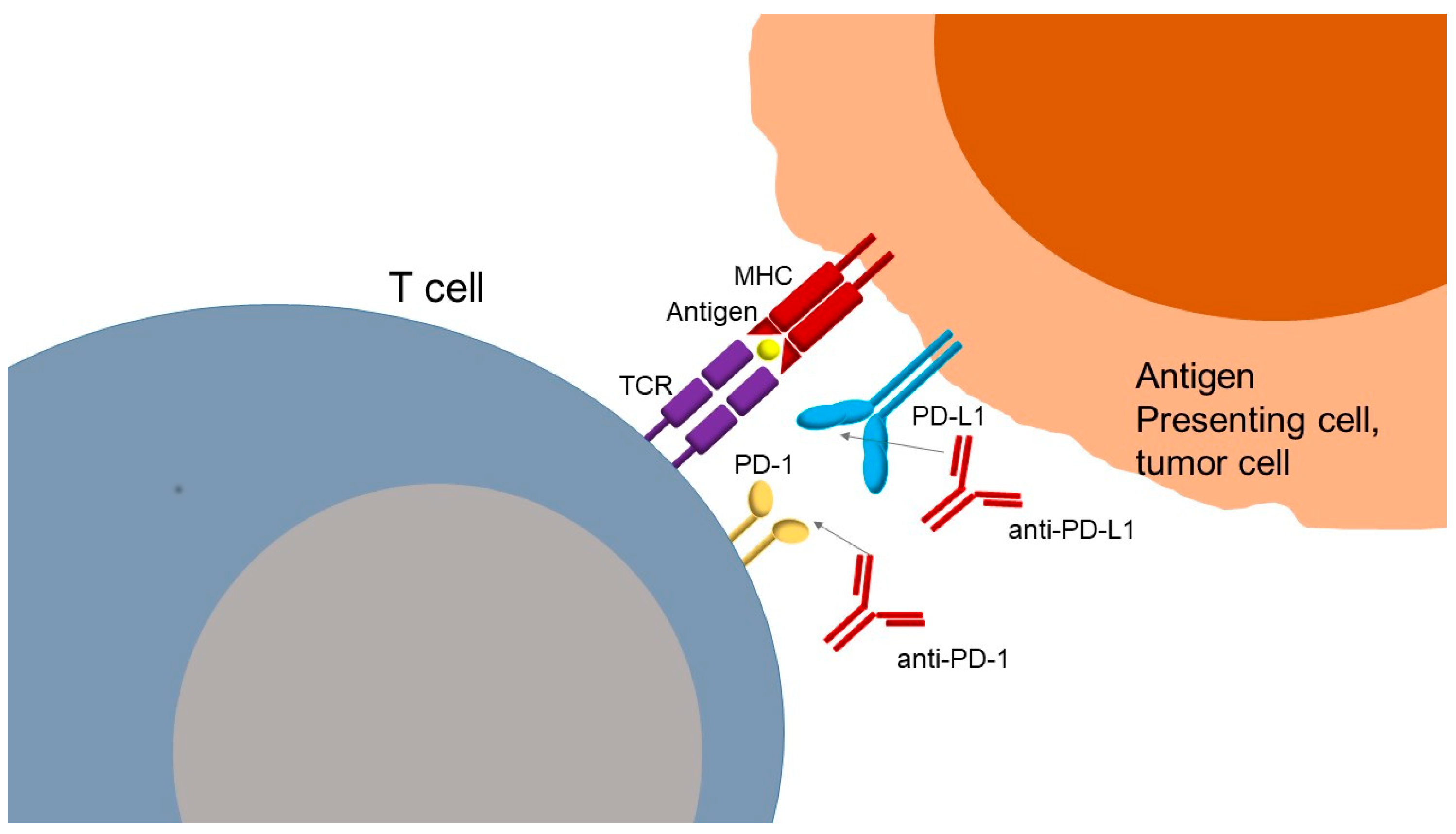 Futurepharmacol 05 00043 g002