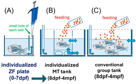 Futurepharmacol 05 00050 g002