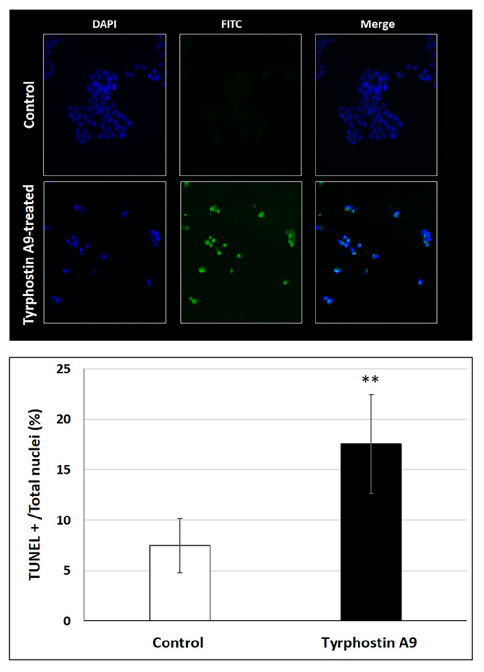 Futurepharmacol 05 00057 g004