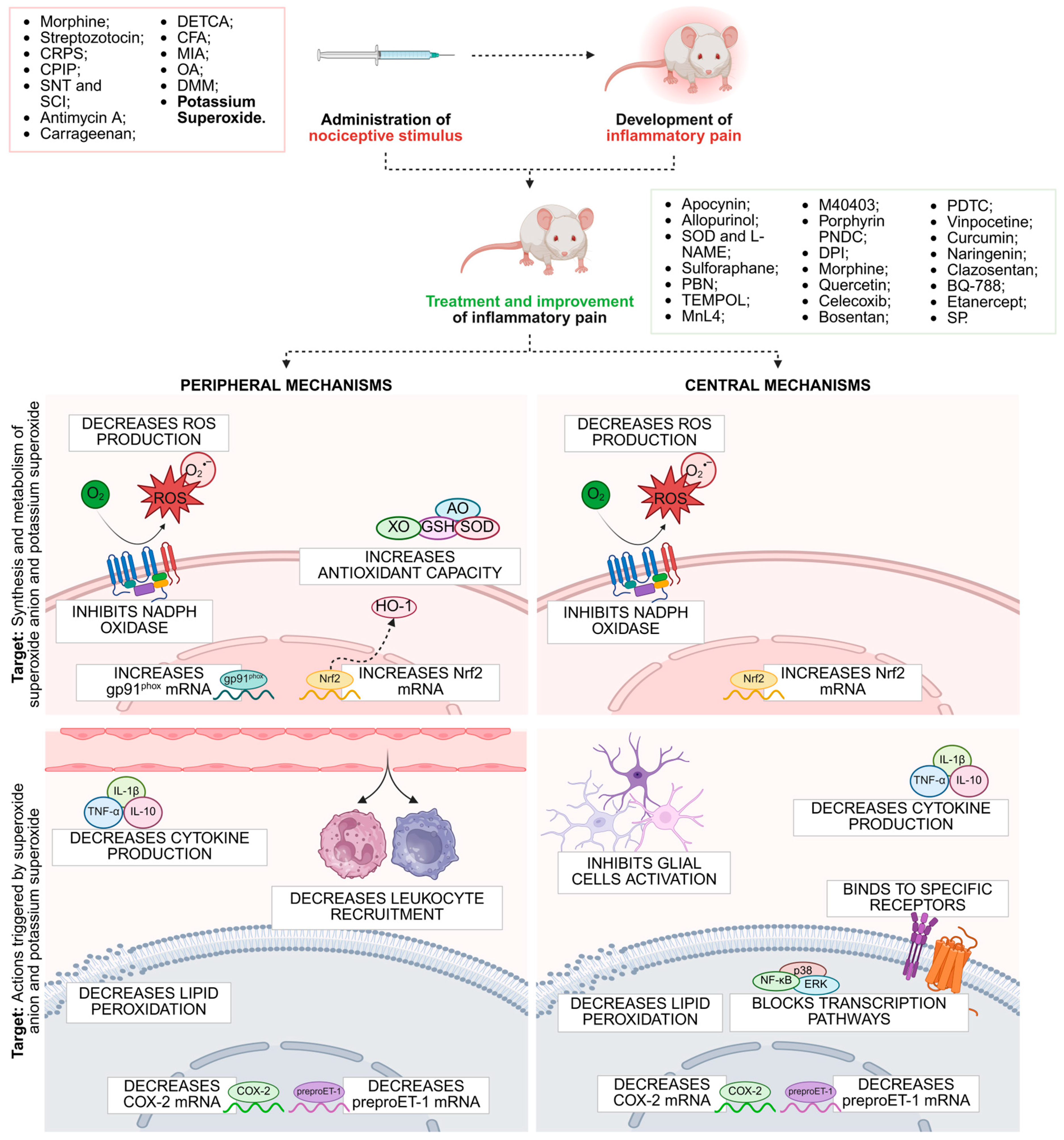 Futurepharmacol 05 00060 g005 Futurepharmacol 05 00060 g005