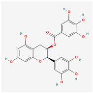 Futurepharmacol 05 00069 i004