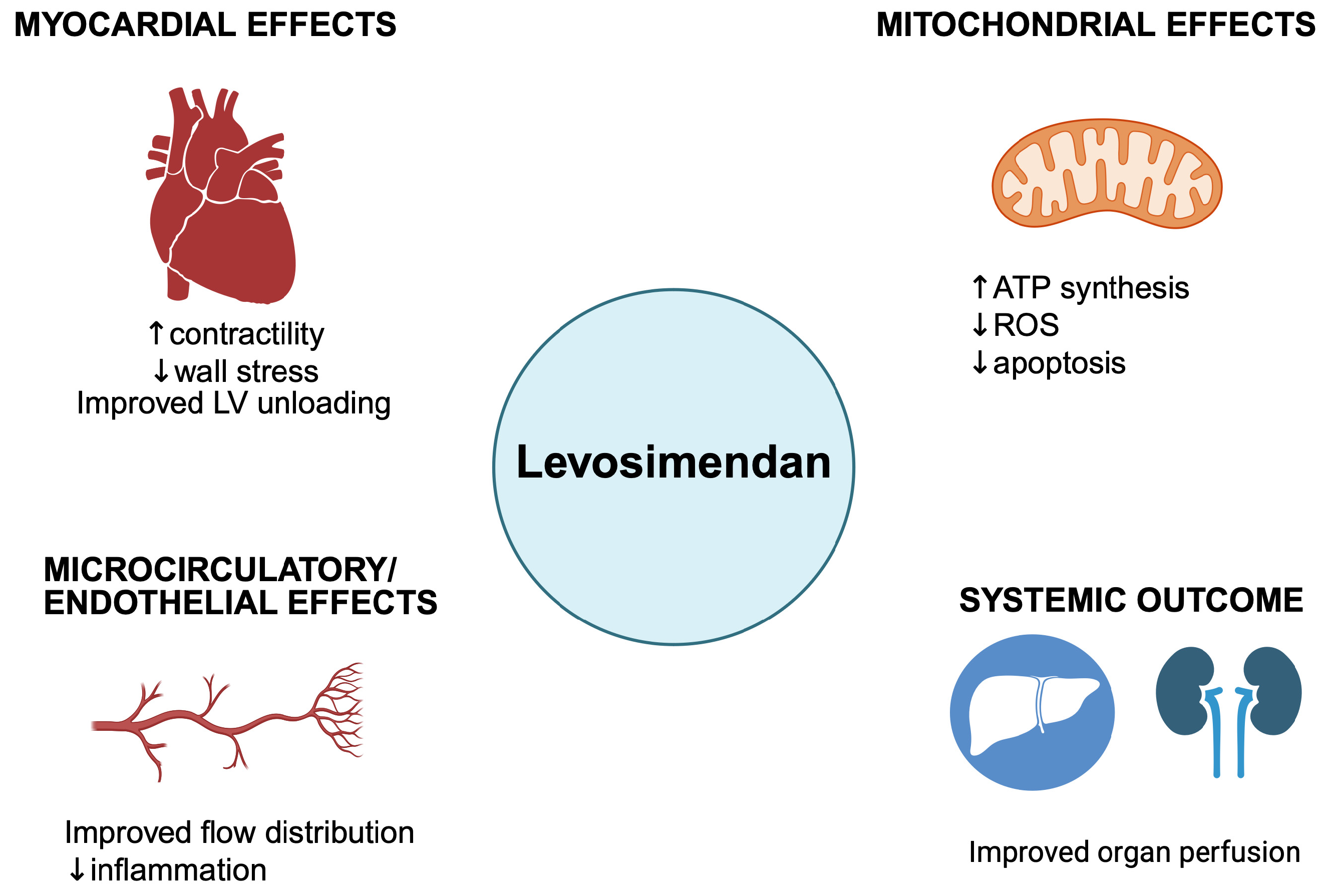 Futurepharmacol 05 00070 g001