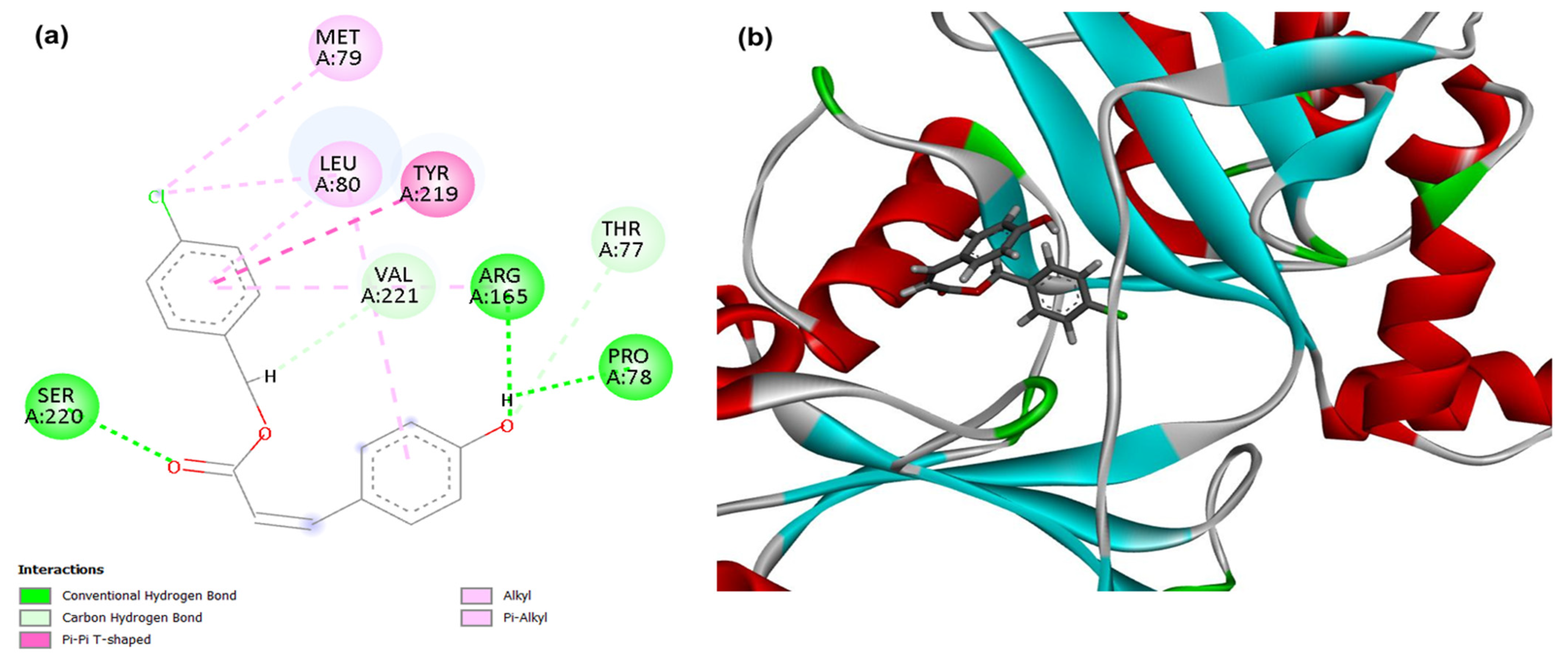 Futurepharmacol 05 00071 g002
