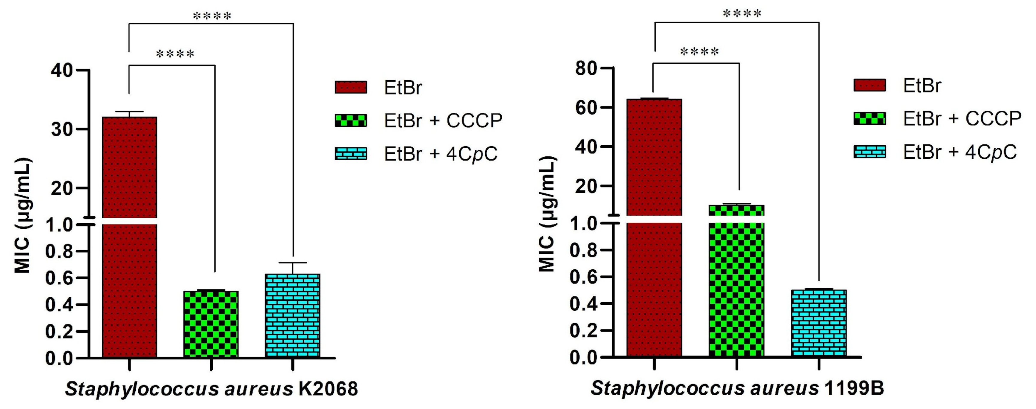 Futurepharmacol 05 00071 g012