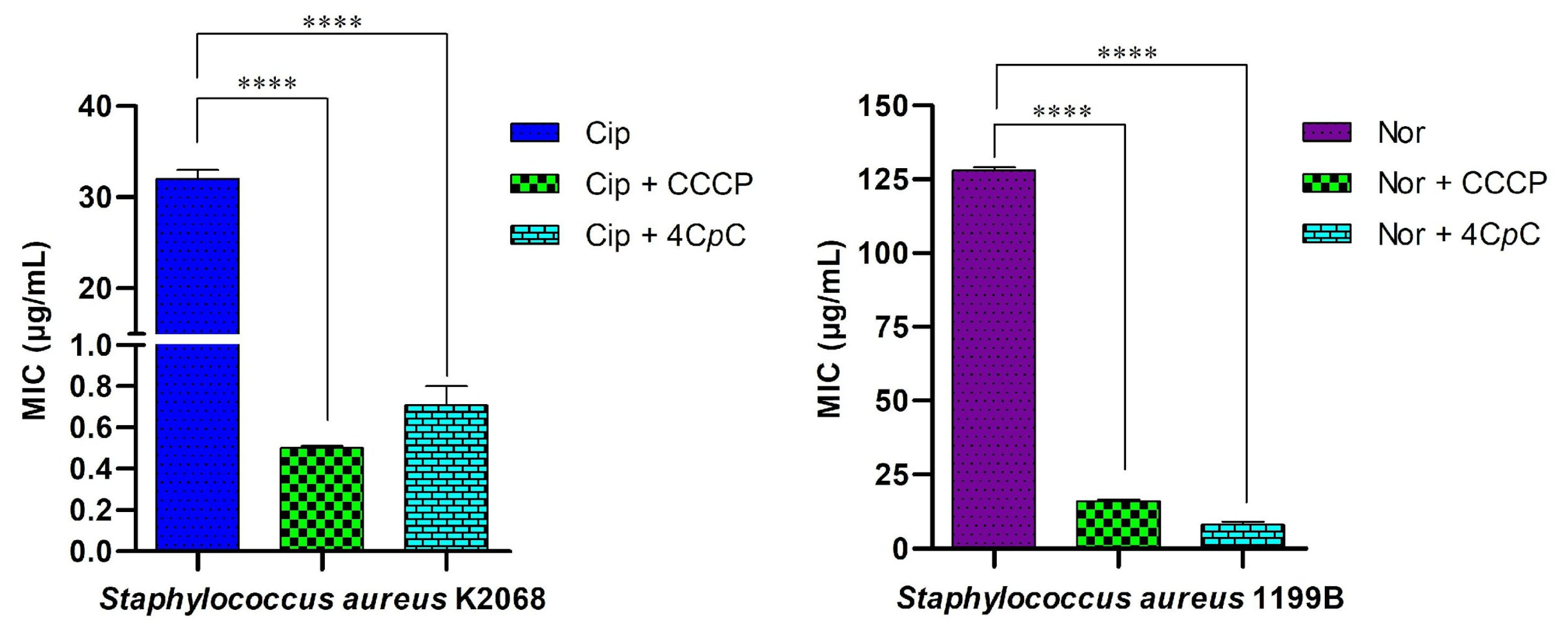 Futurepharmacol 05 00071 g013