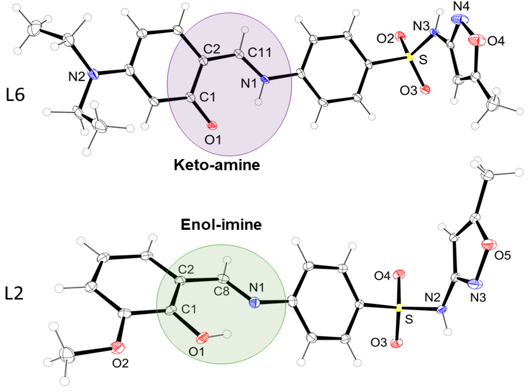 Futurepharmacol 05 00072 g001
