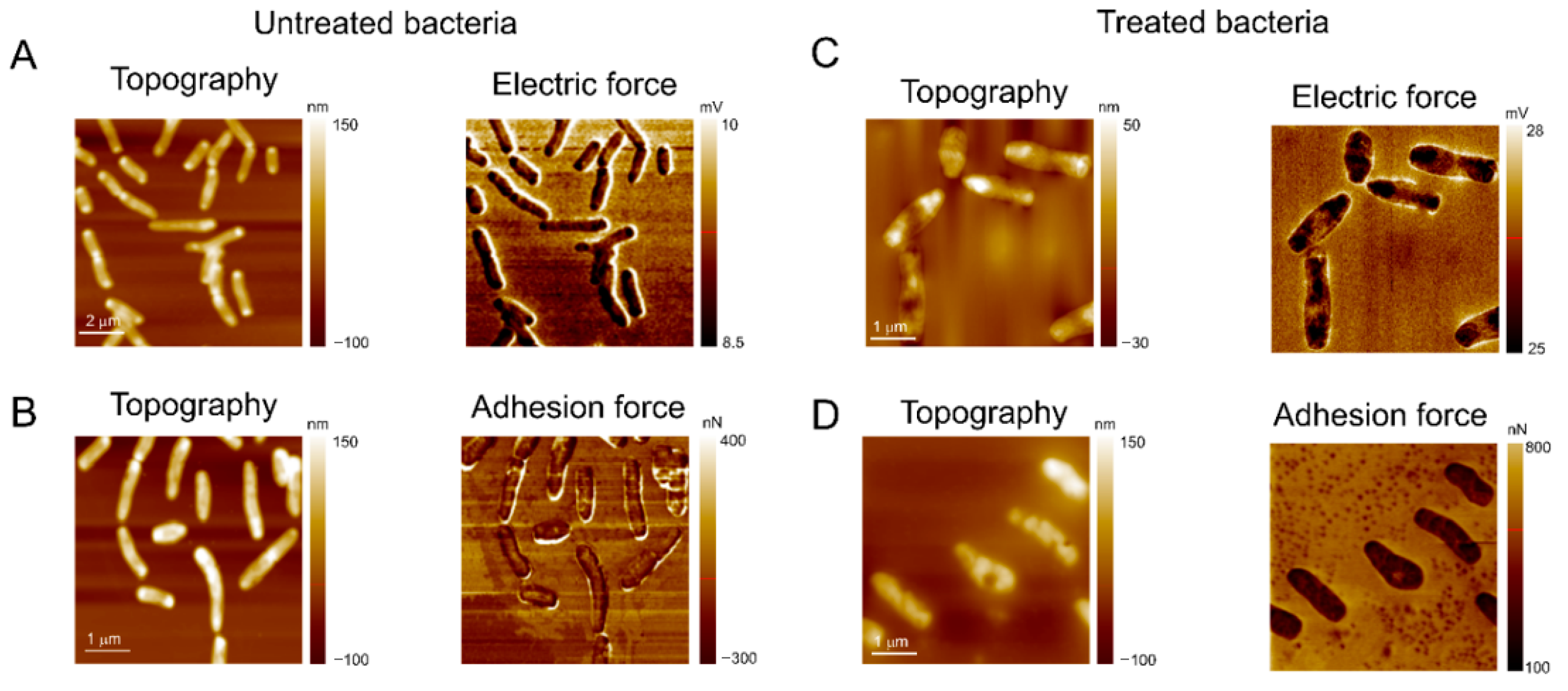Futurepharmacol 05 00072 g010