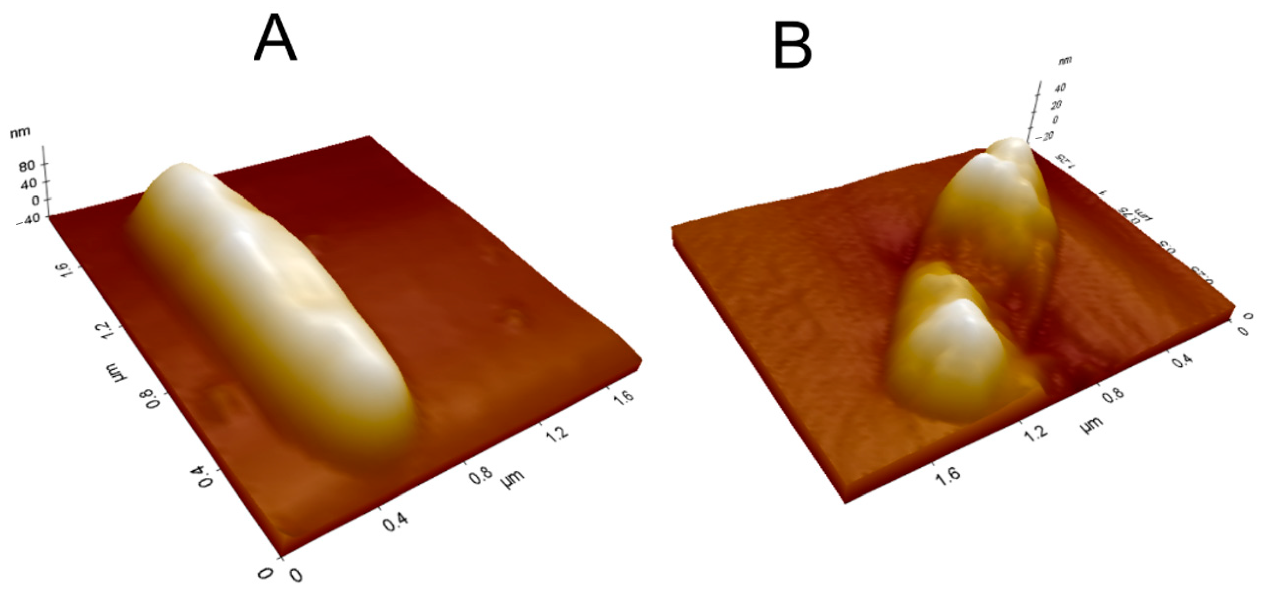Futurepharmacol 05 00072 g011