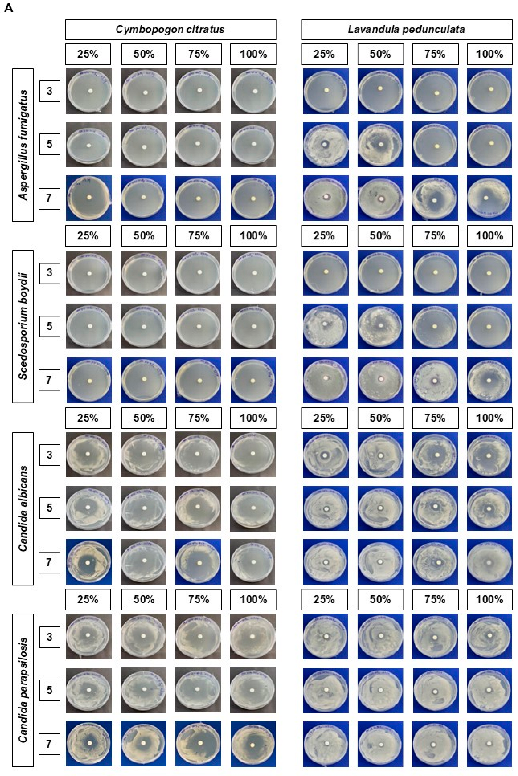 Futurepharmacol 05 00073 g001a
