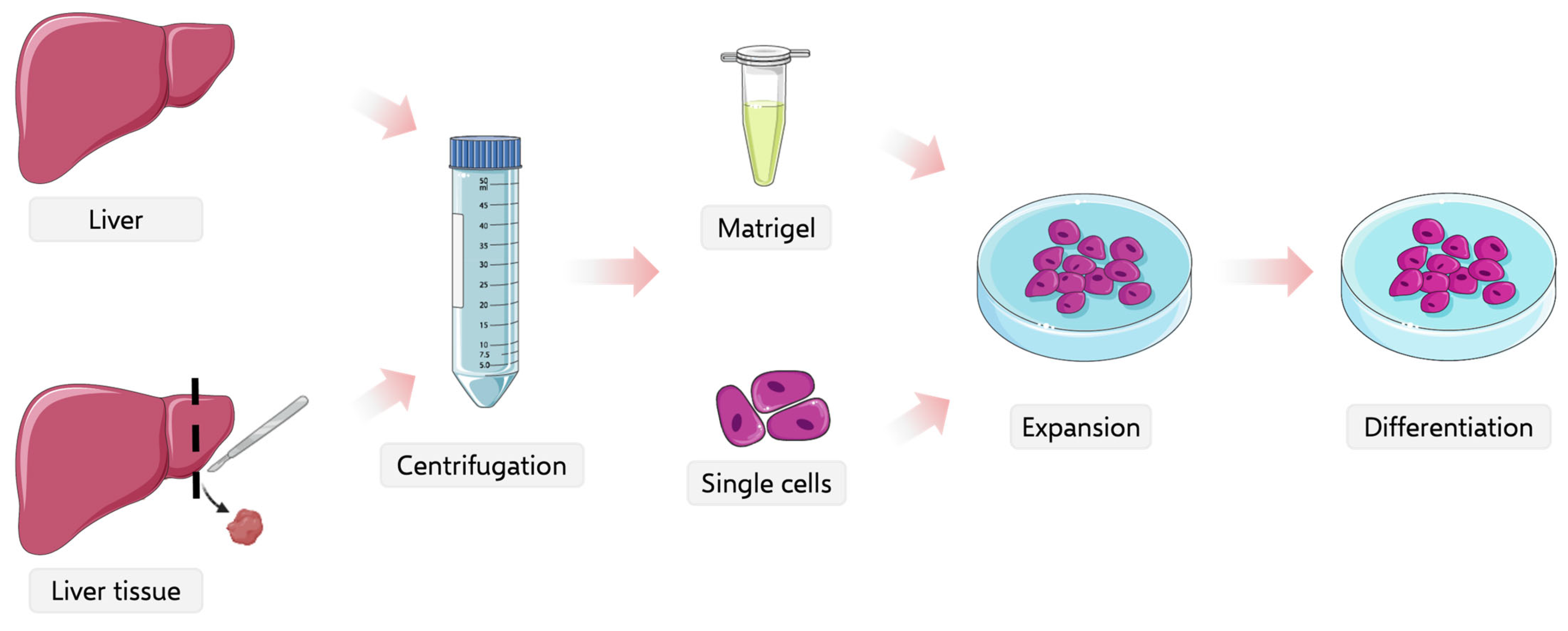 Futurepharmacol 05 00074 g003 Futurepharmacol 05 00074 g003