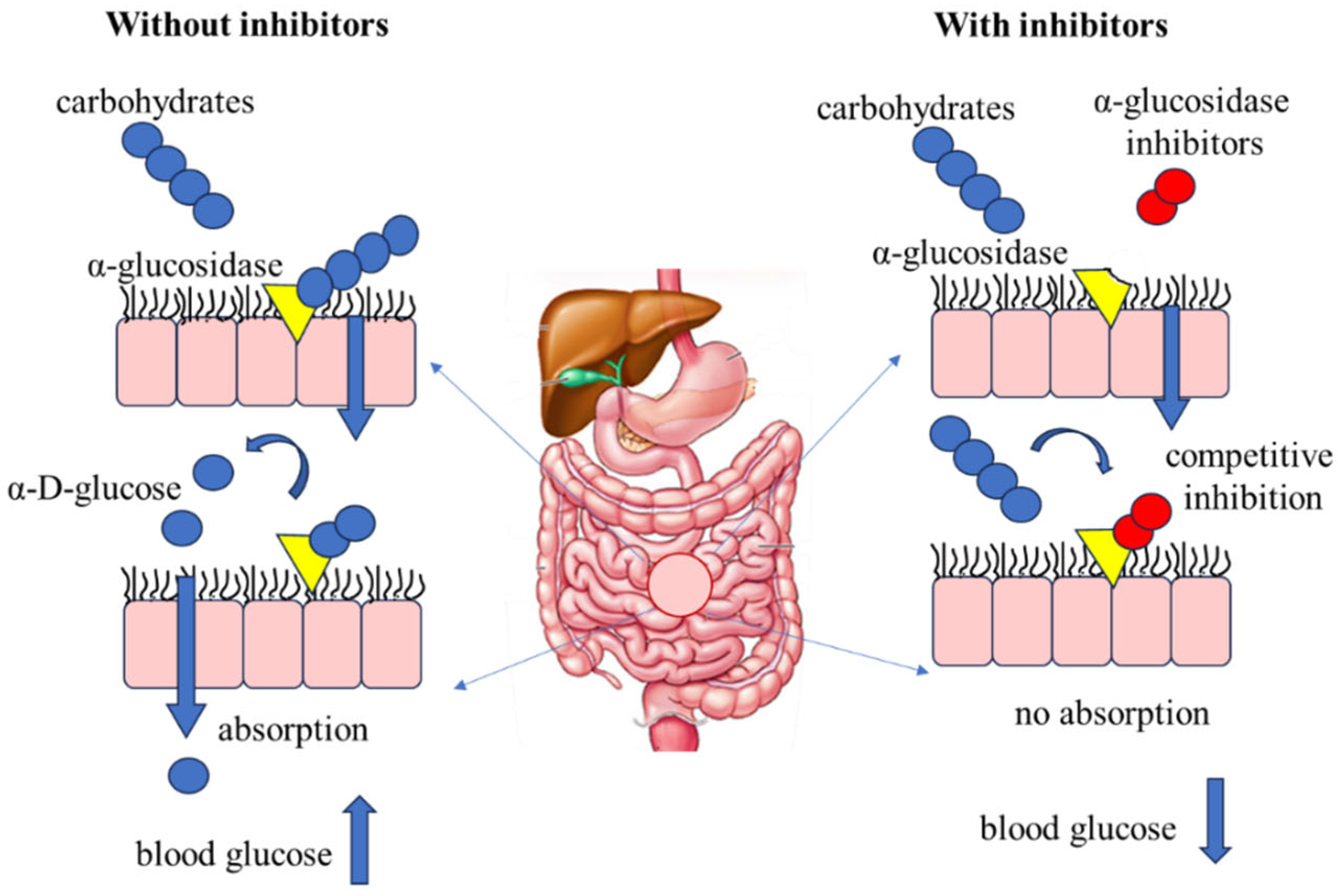 Futurepharmacol 06 00002 g002