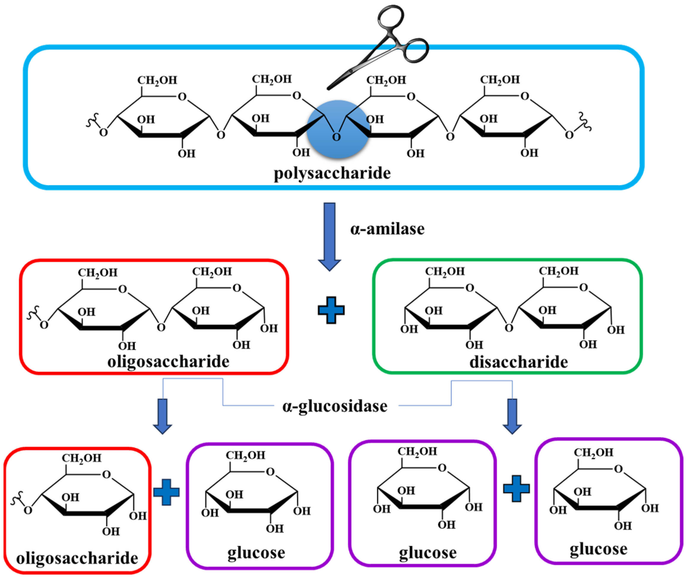 Futurepharmacol 06 00002 g004