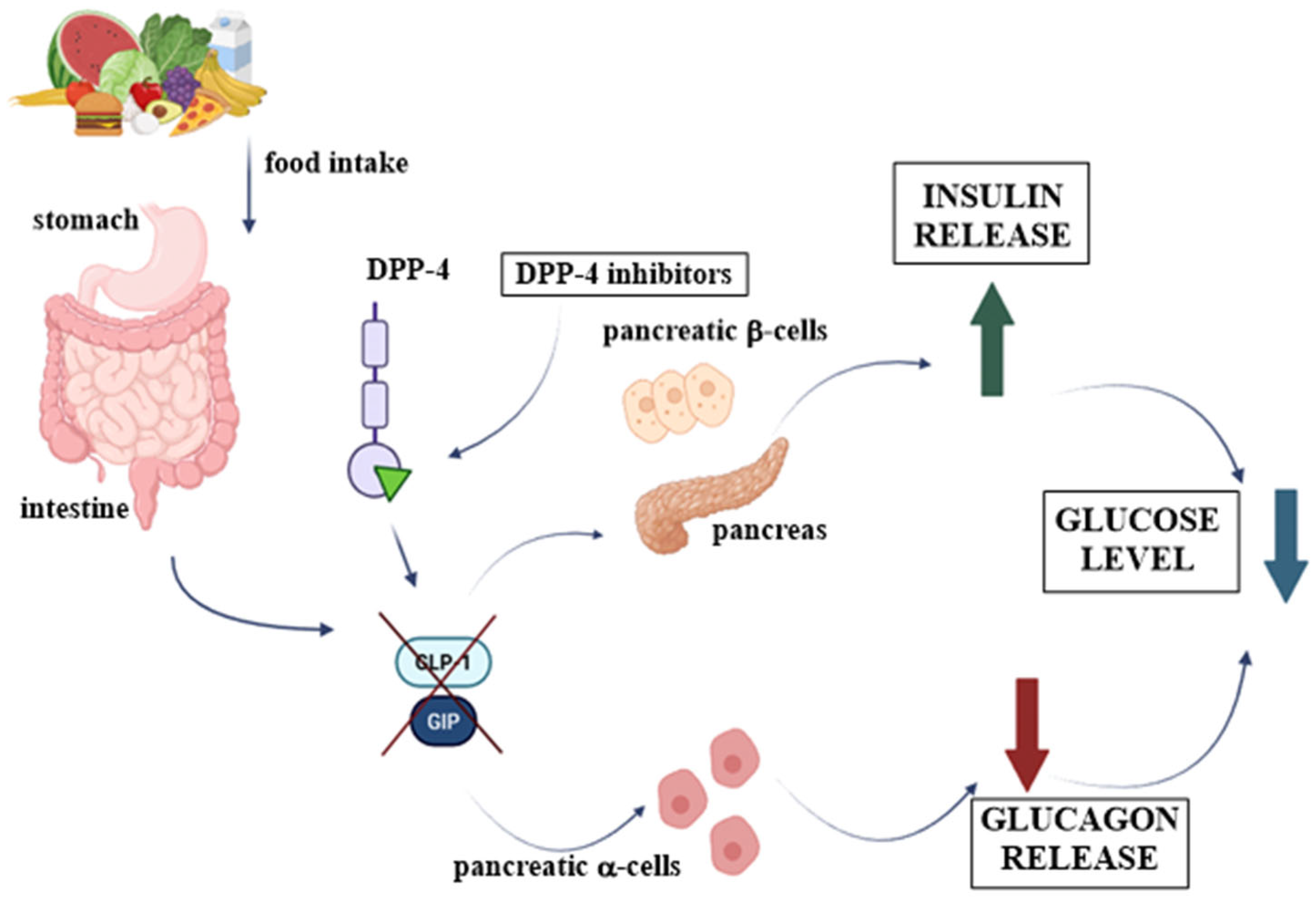 Futurepharmacol 06 00002 g039