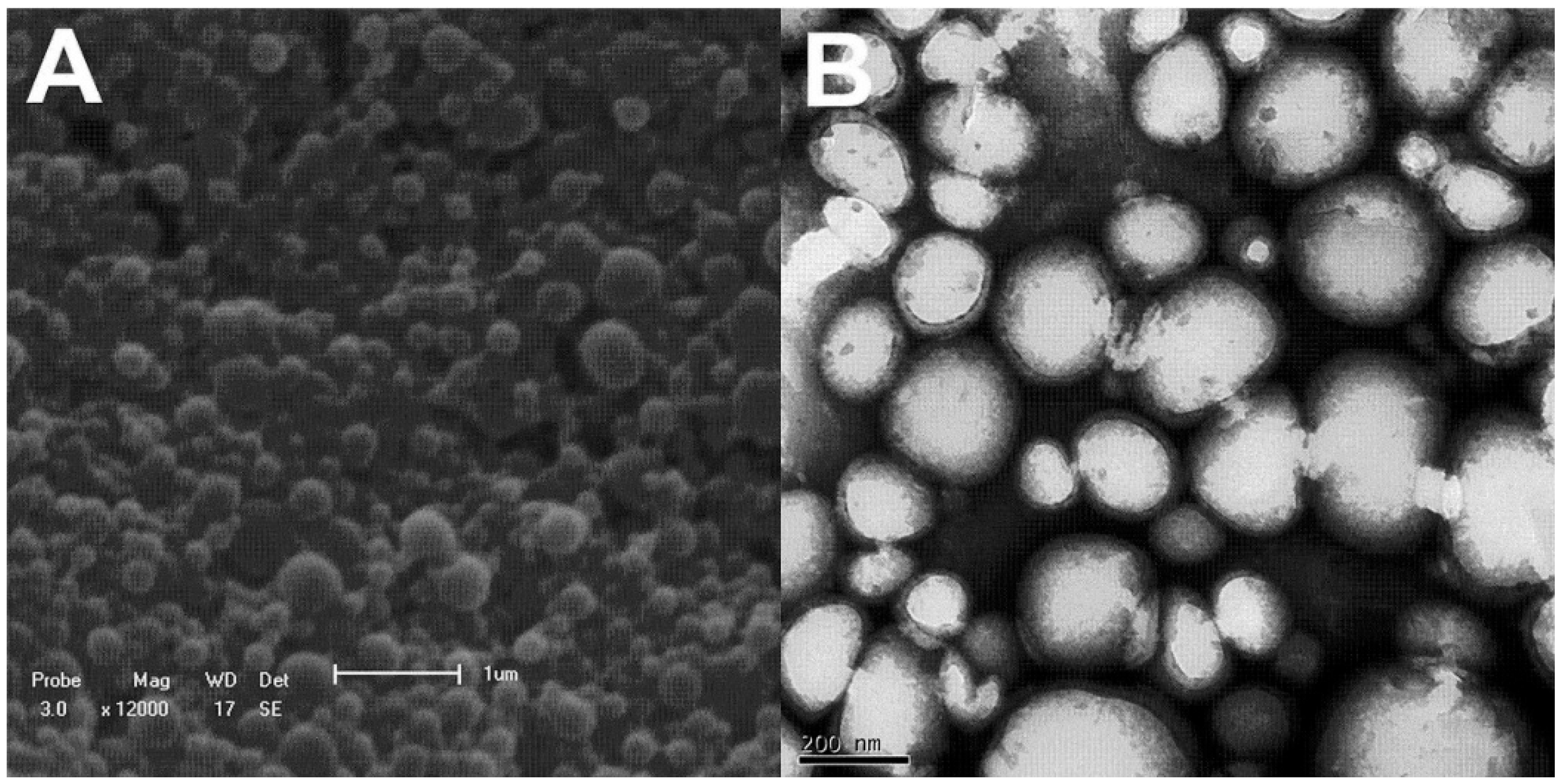 Futurepharmacol 06 00004 g001