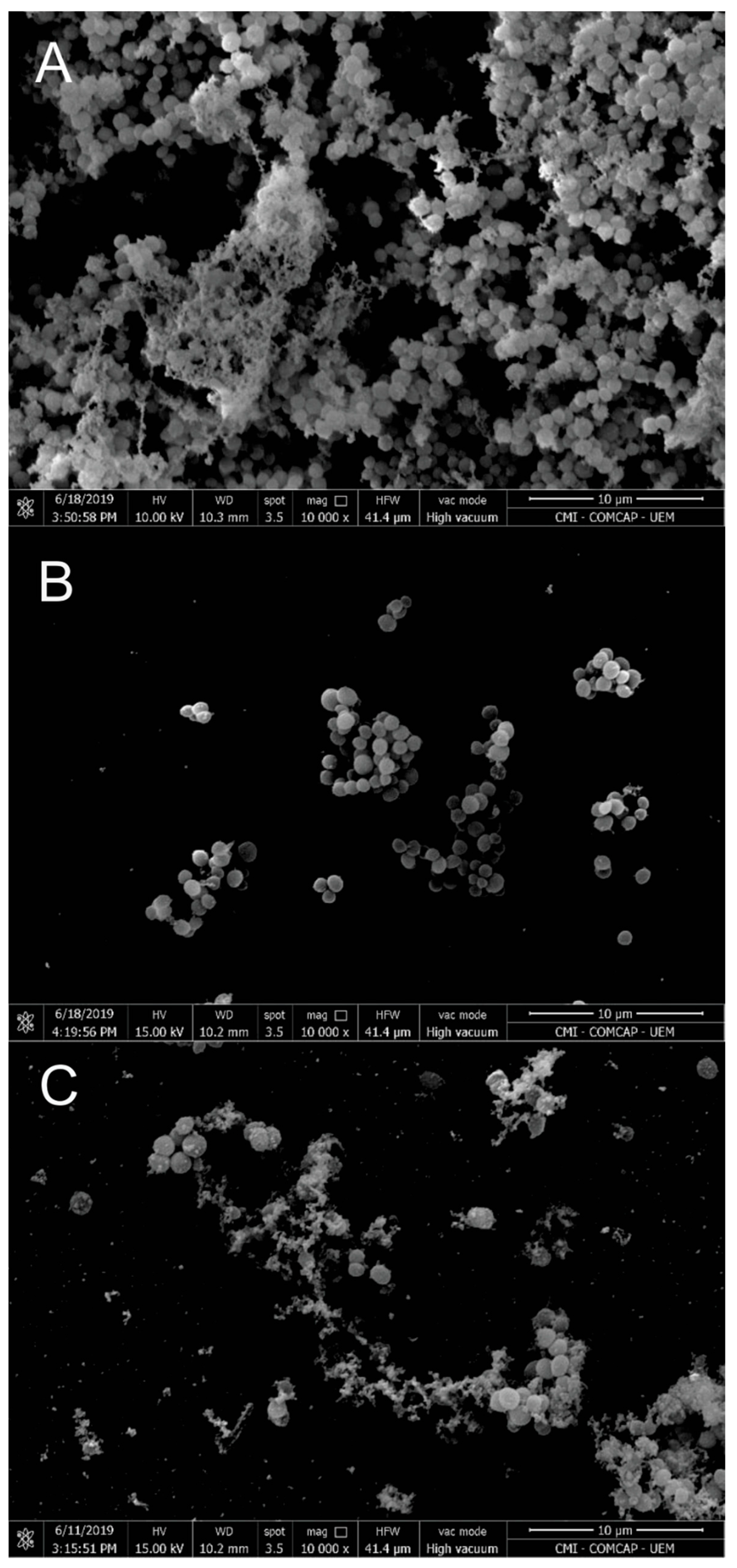 Futurepharmacol 06 00004 g004