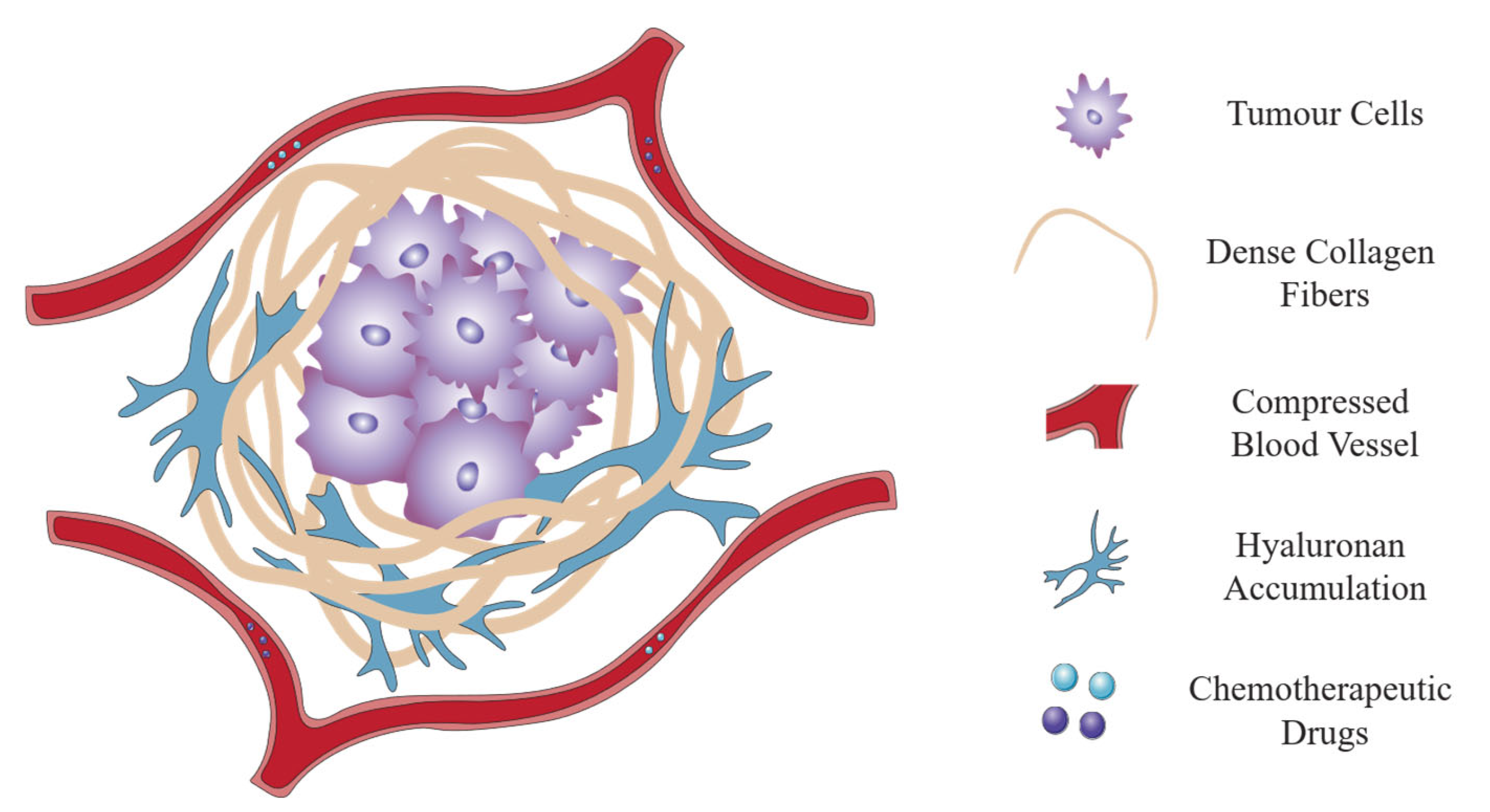 Futurepharmacol 06 00012 g002 Futurepharmacol 06 00012 g002