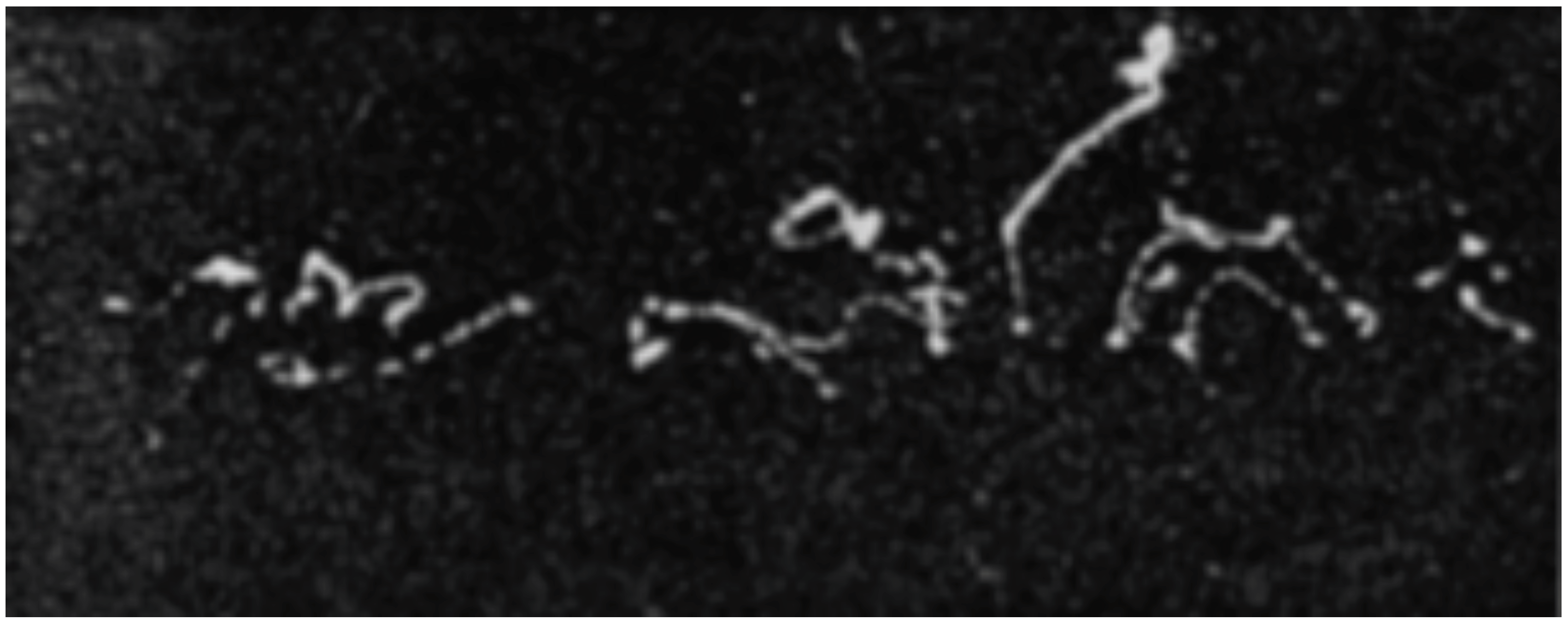 Galaxies 06 00071 g001