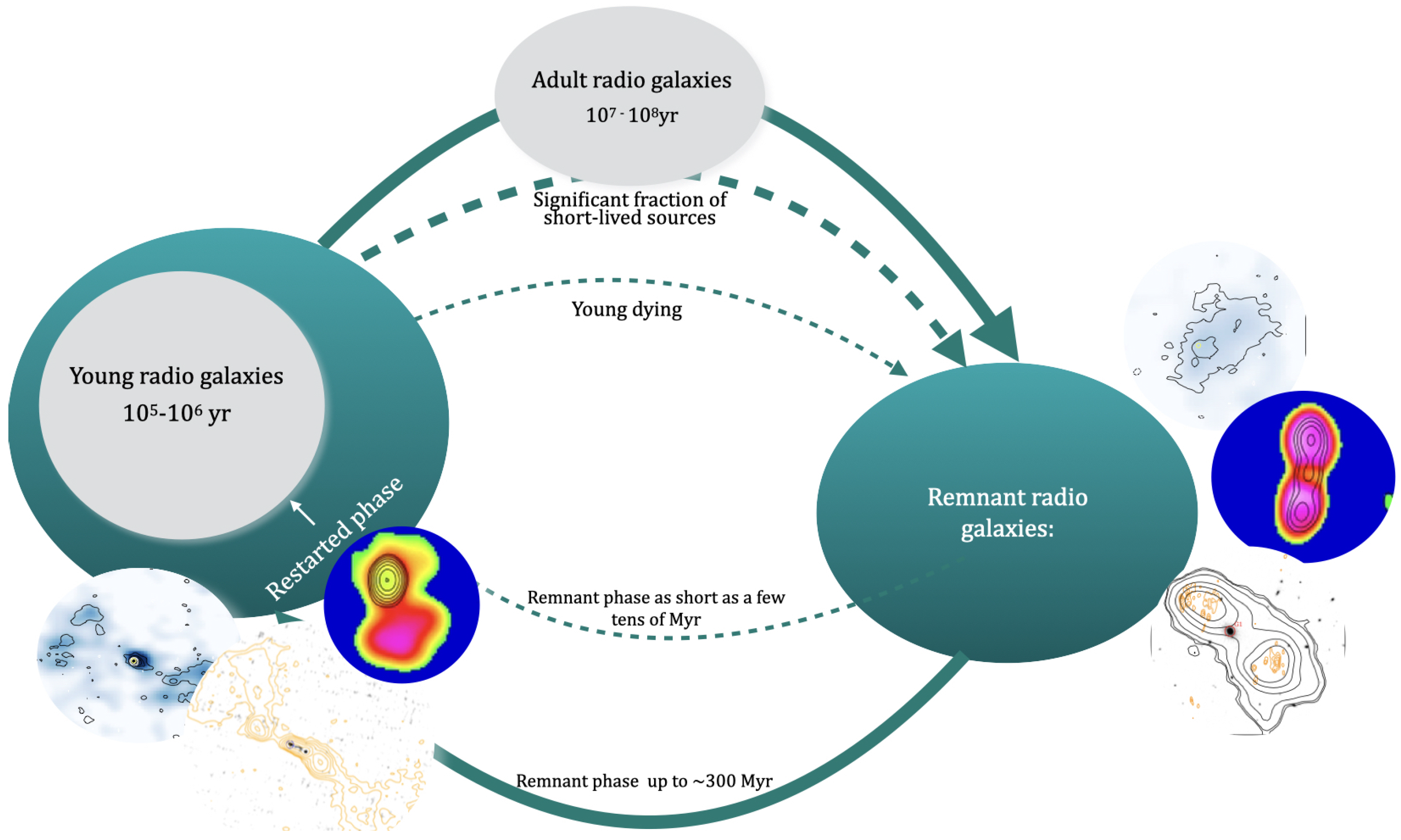Galaxies 12 00011 g006