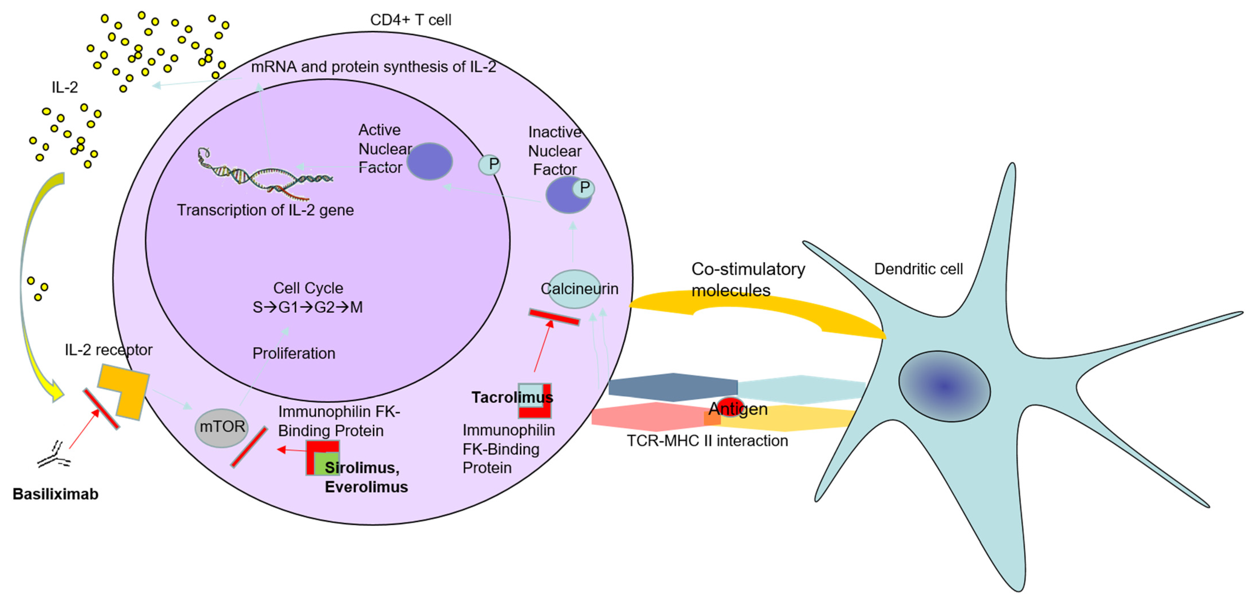 Gastroent 12 00025 g001