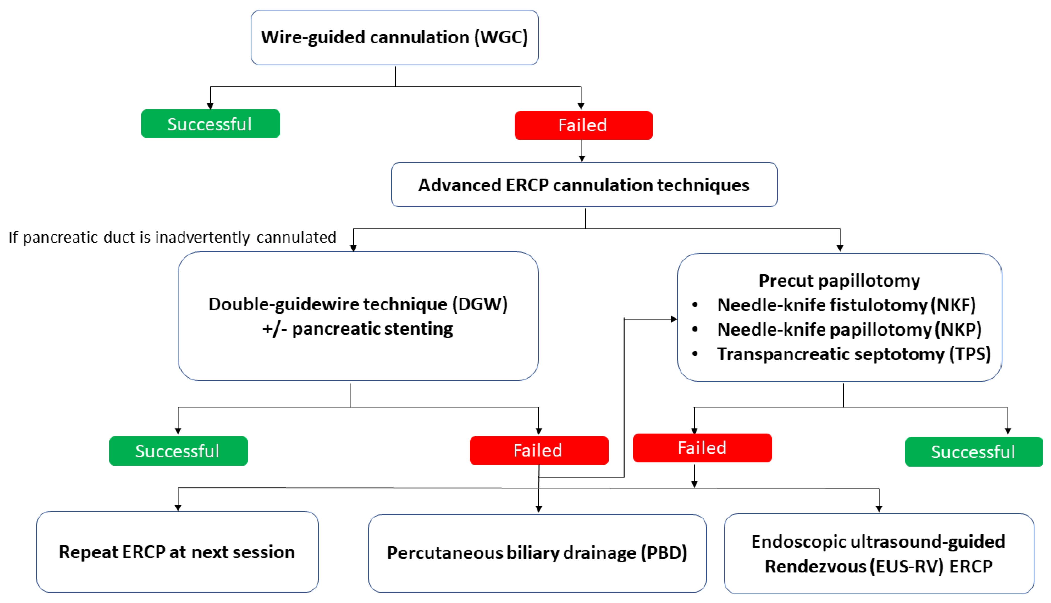 Gastroent 12 00039 g002