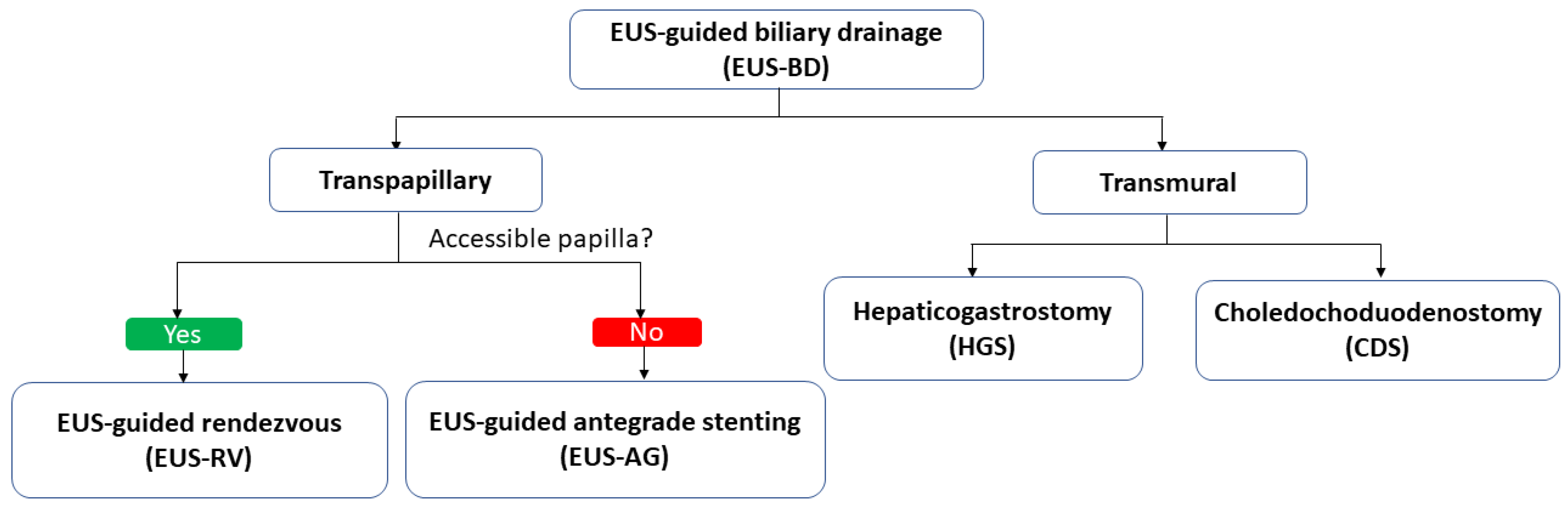 Gastroent 12 00039 g005