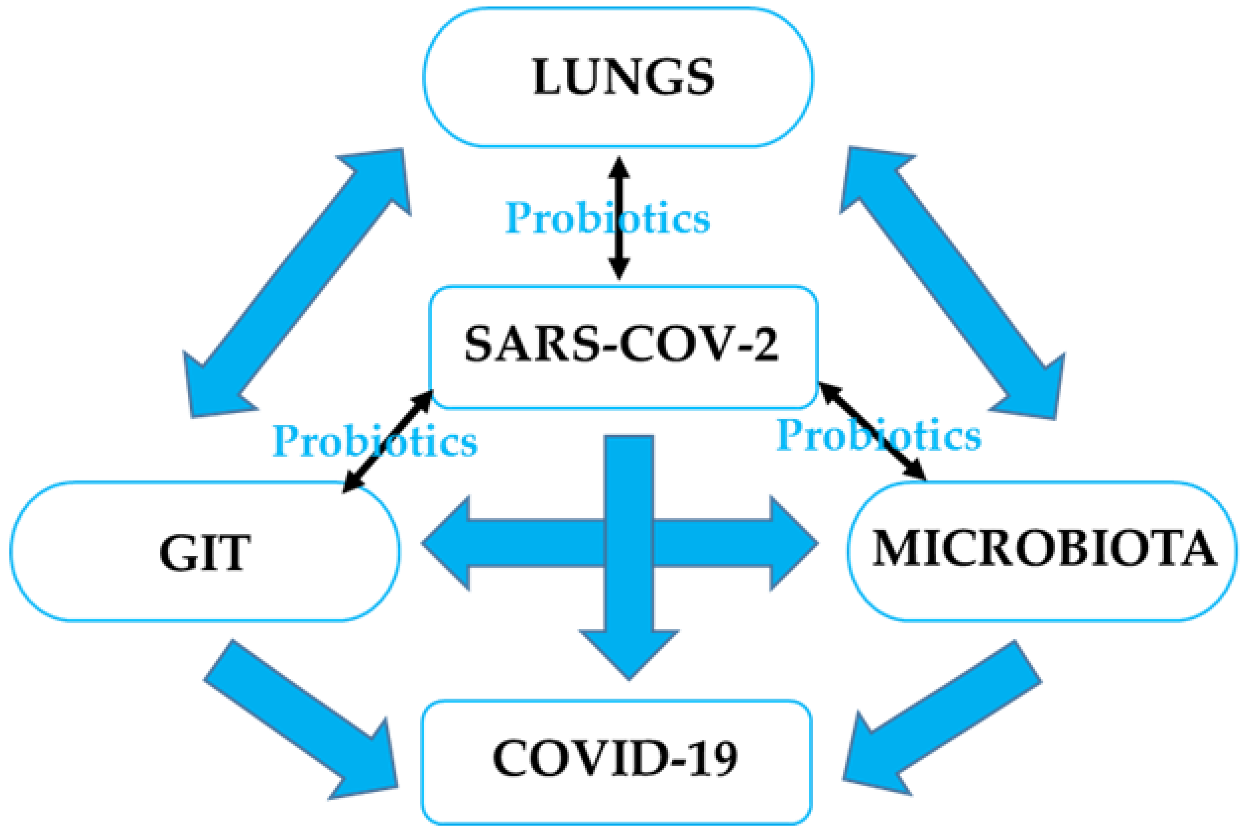 Gastroent 13 00006 g001