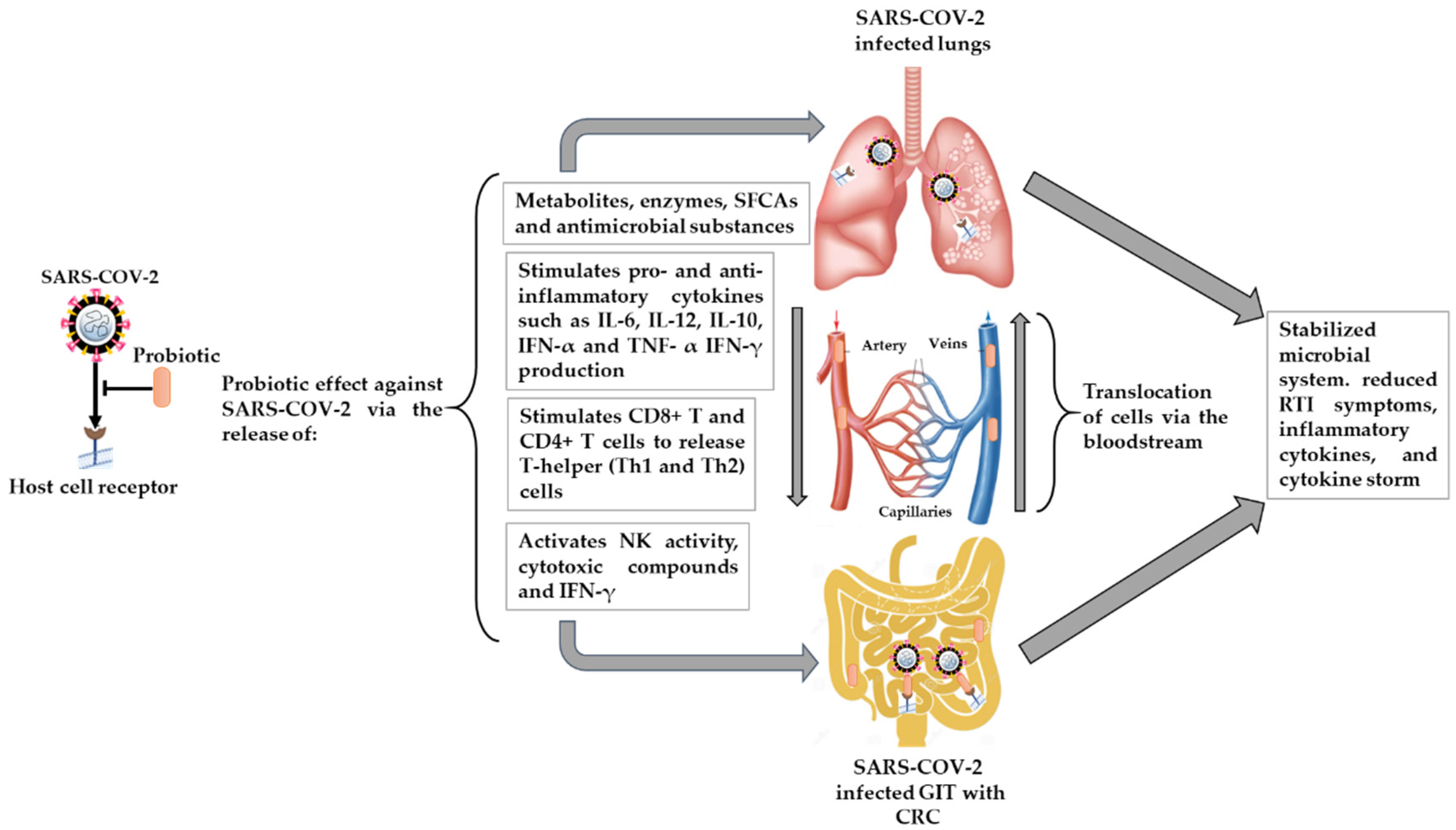 Gastroent 13 00006 g002