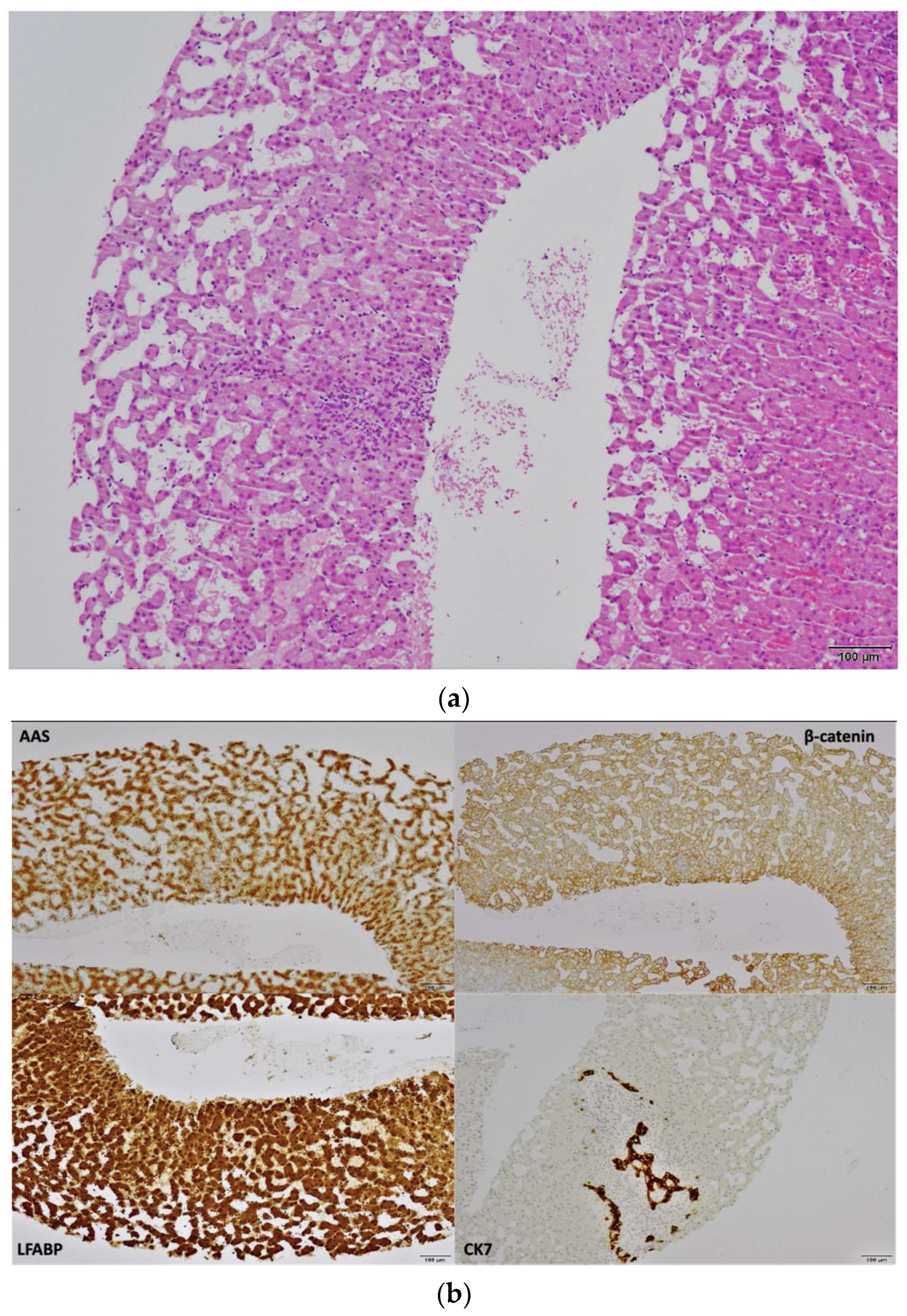 Gastroent 13 00008 g002
