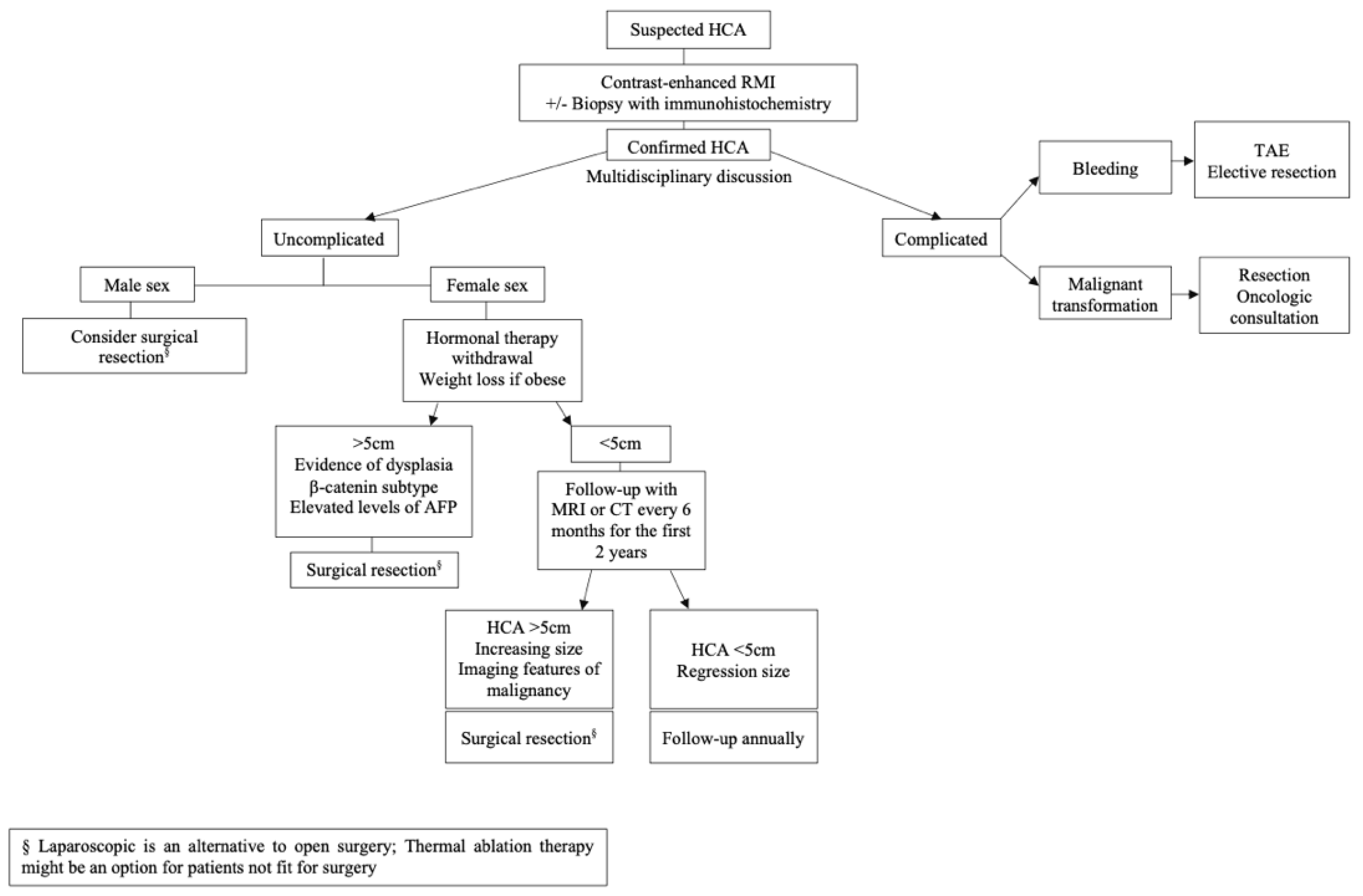 Gastroent 13 00008 g004