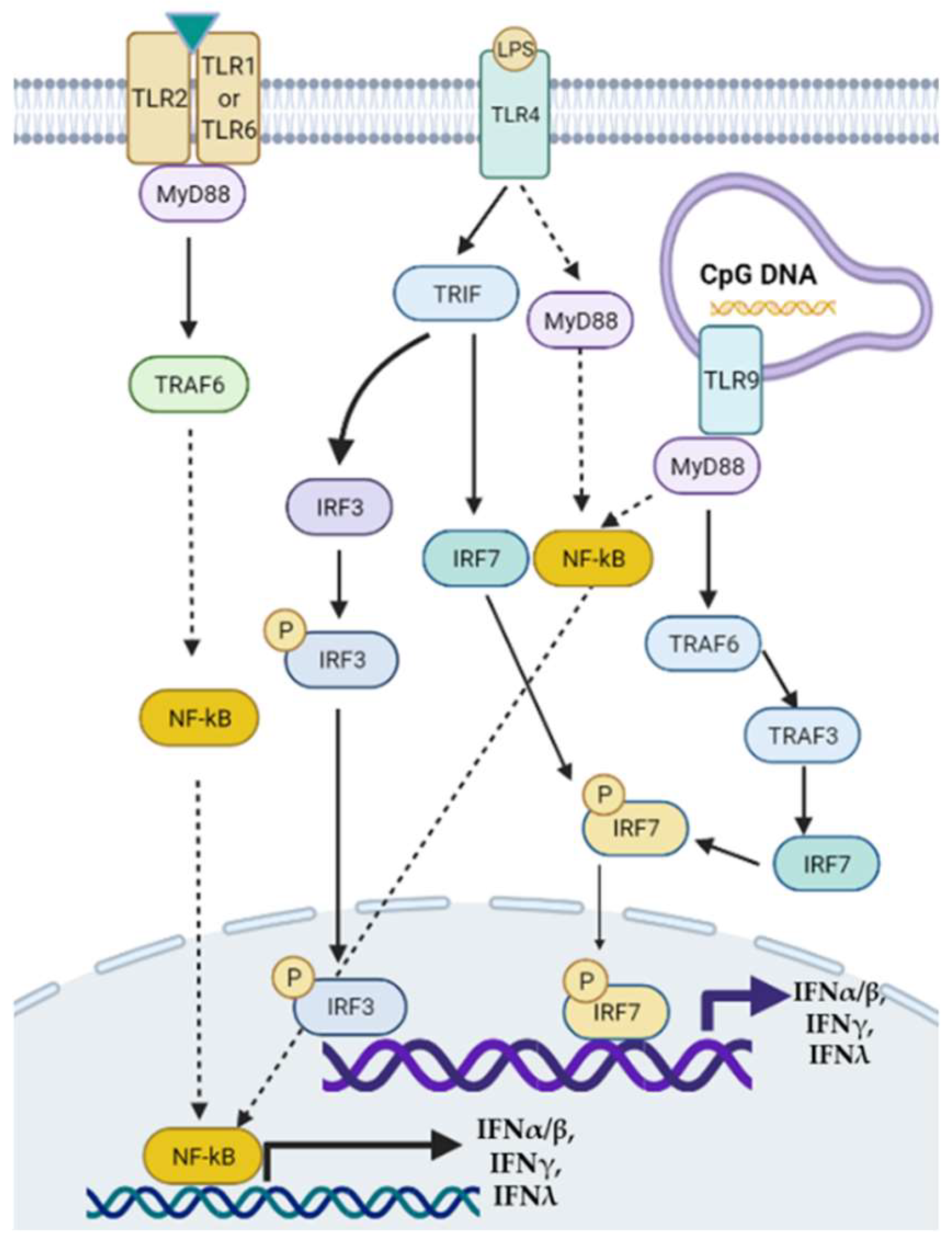 Gastroent 13 00016 g001