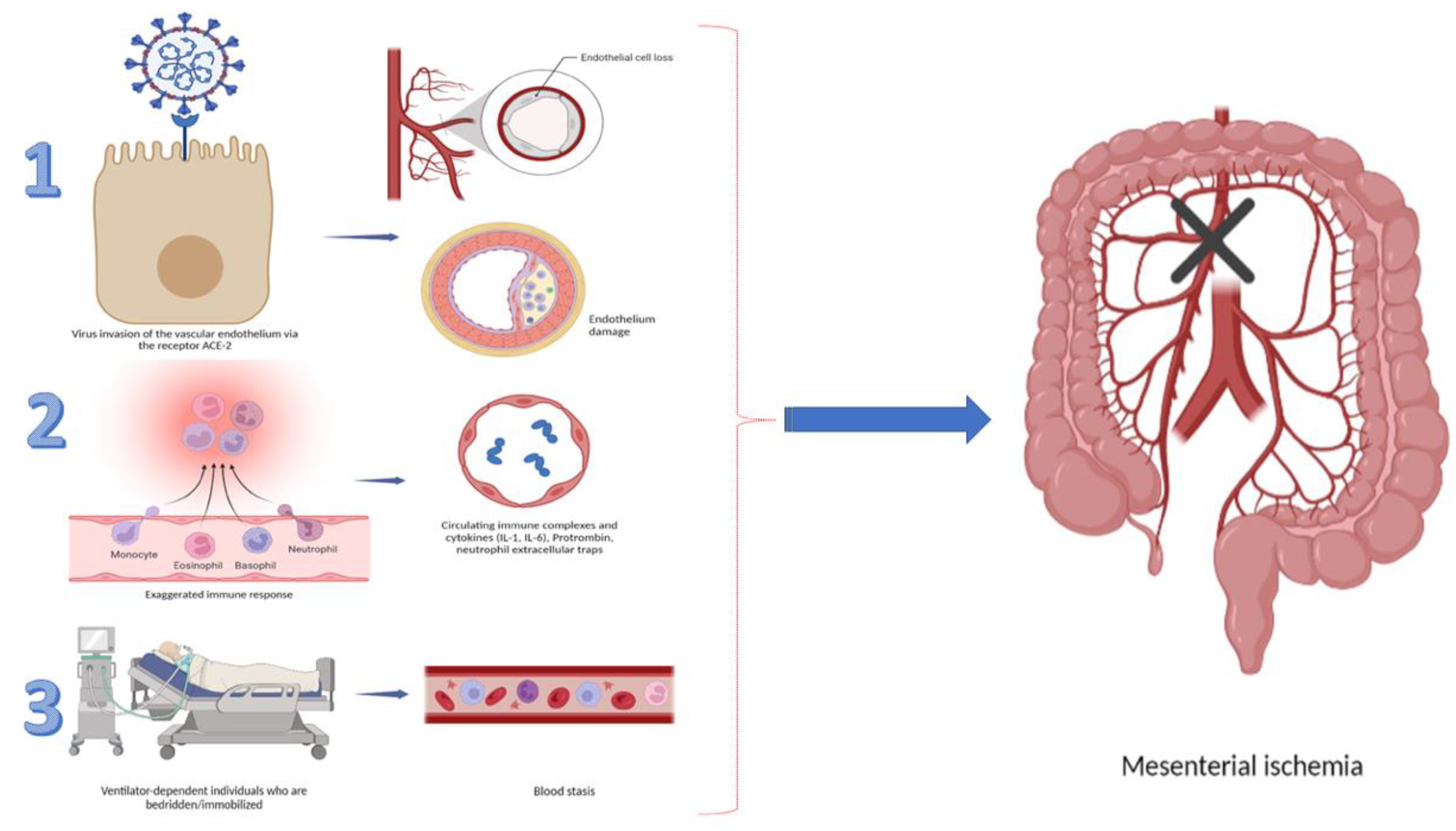 Gastroent 13 00021 g001
