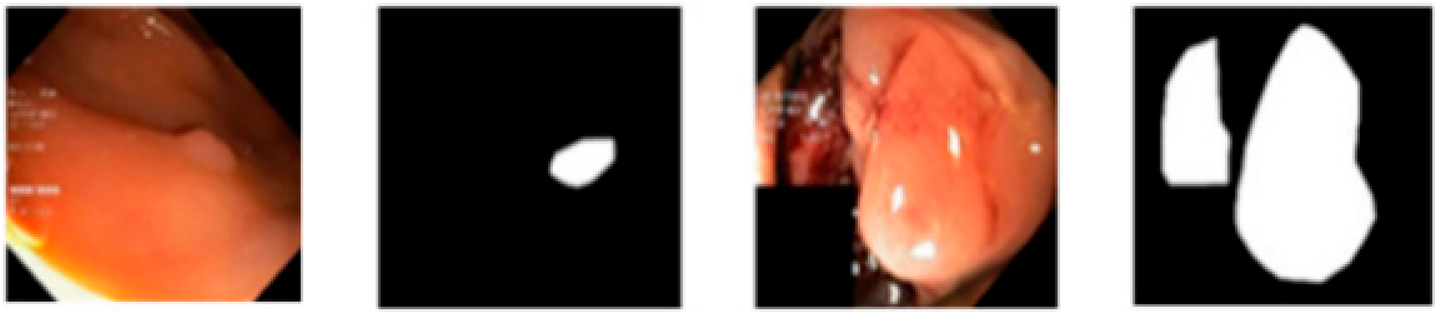 Gastroent 13 00027 g002