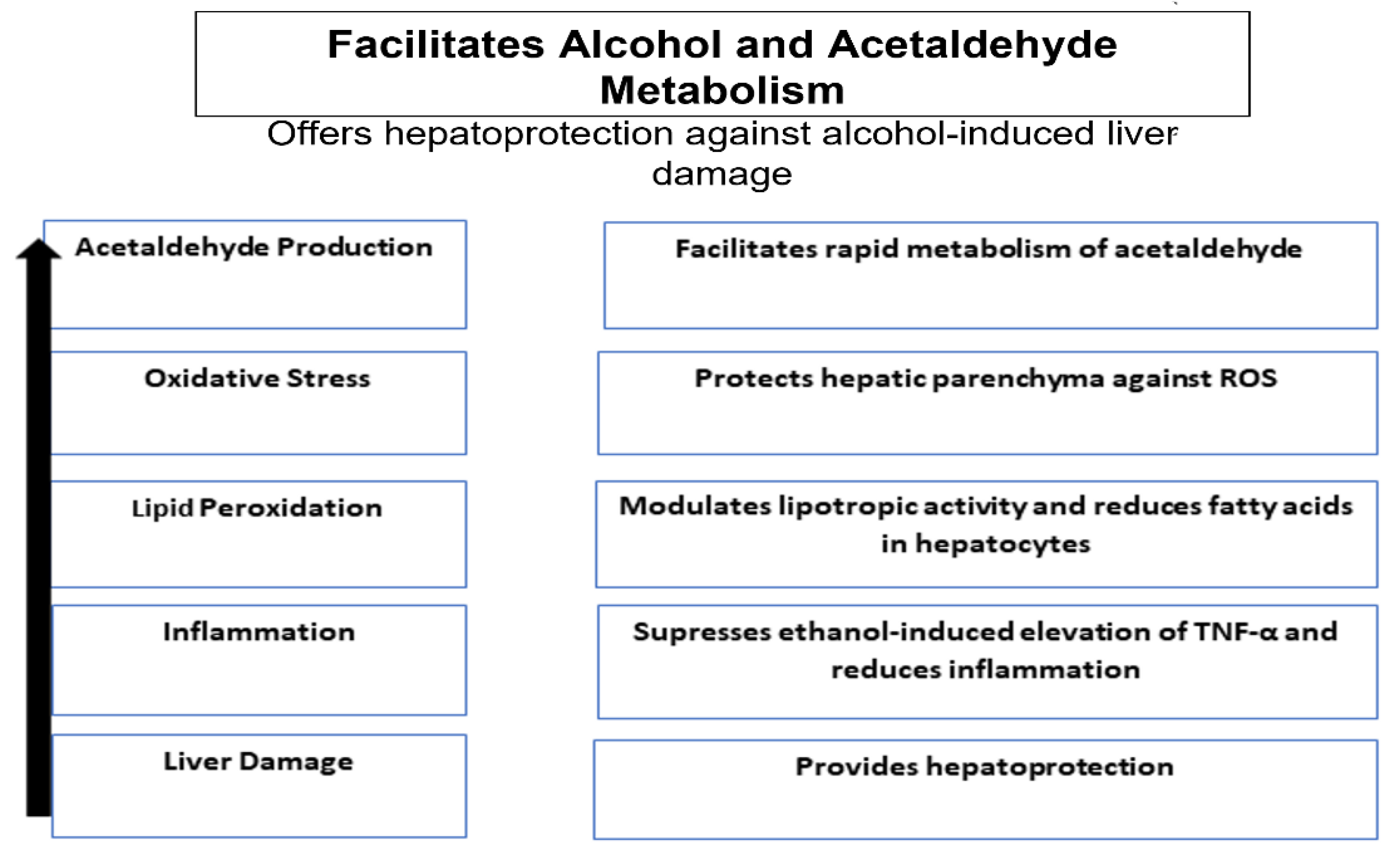 Gastroent 13 00037 g001