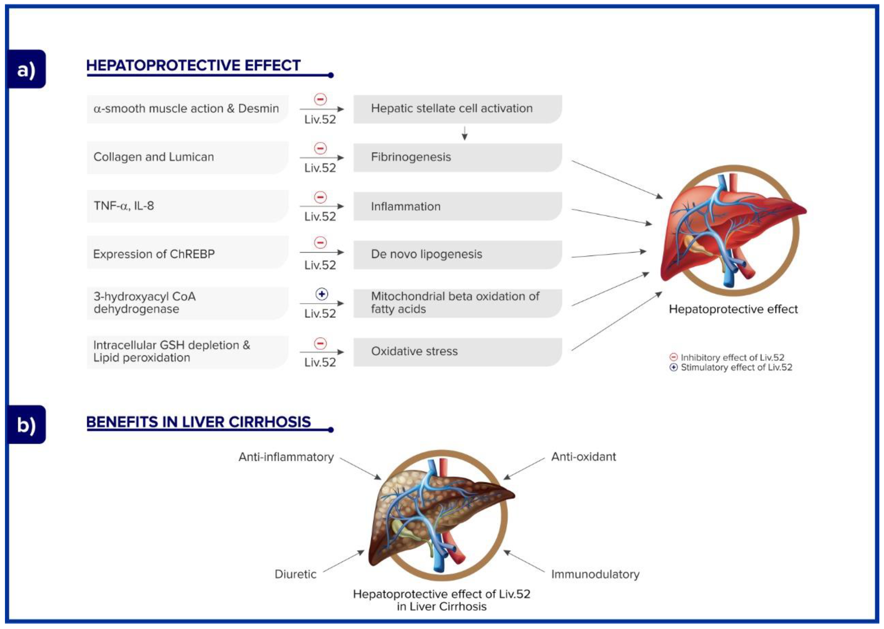 Gastroent 14 00021 g001