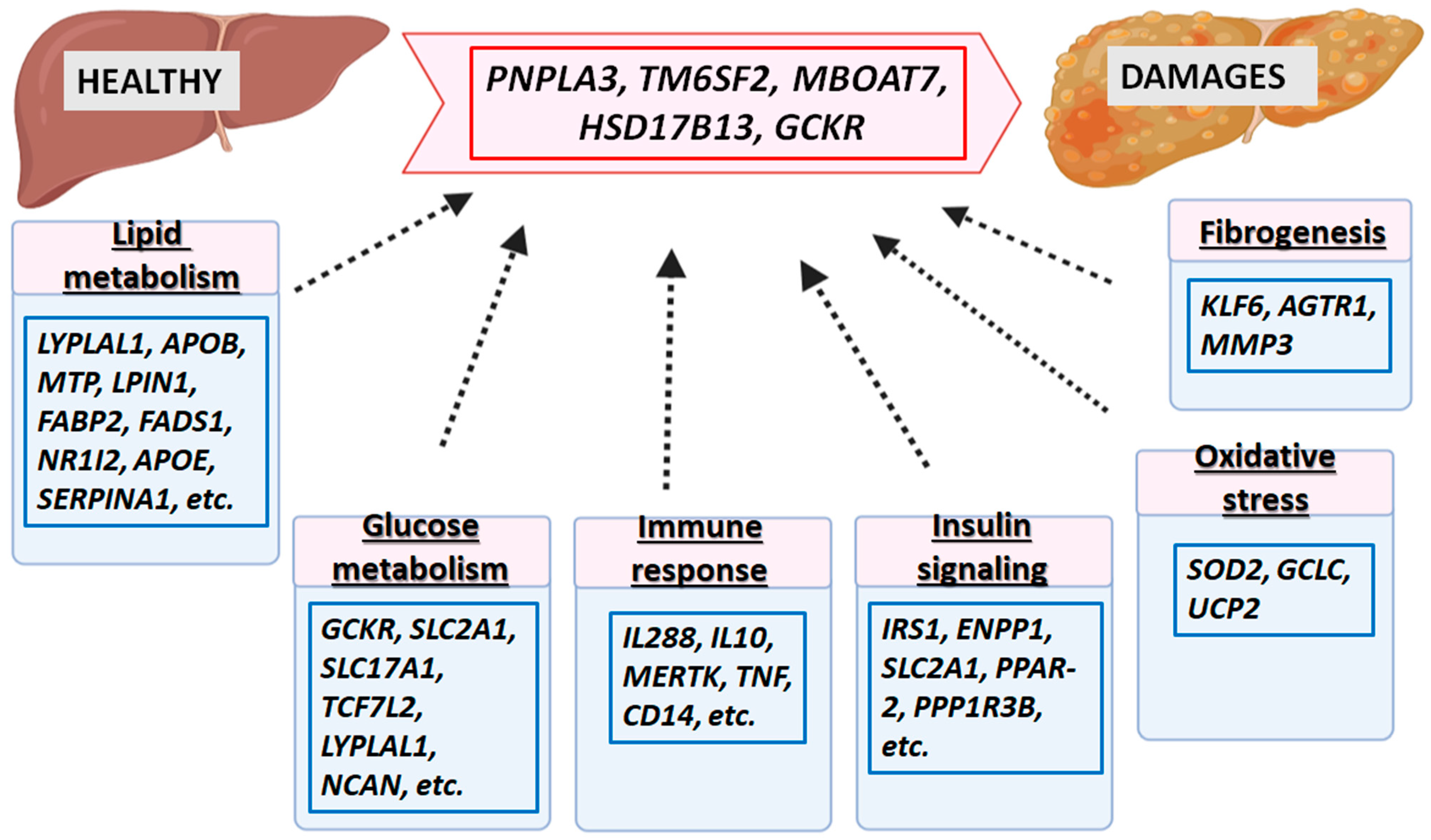 Gastroent 14 00041 g004 Gastroent 14 00041 g004